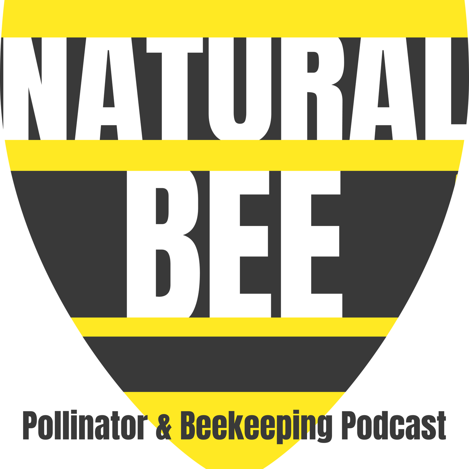 Jenan El-Hifnawi Jenan El-Hifnawi