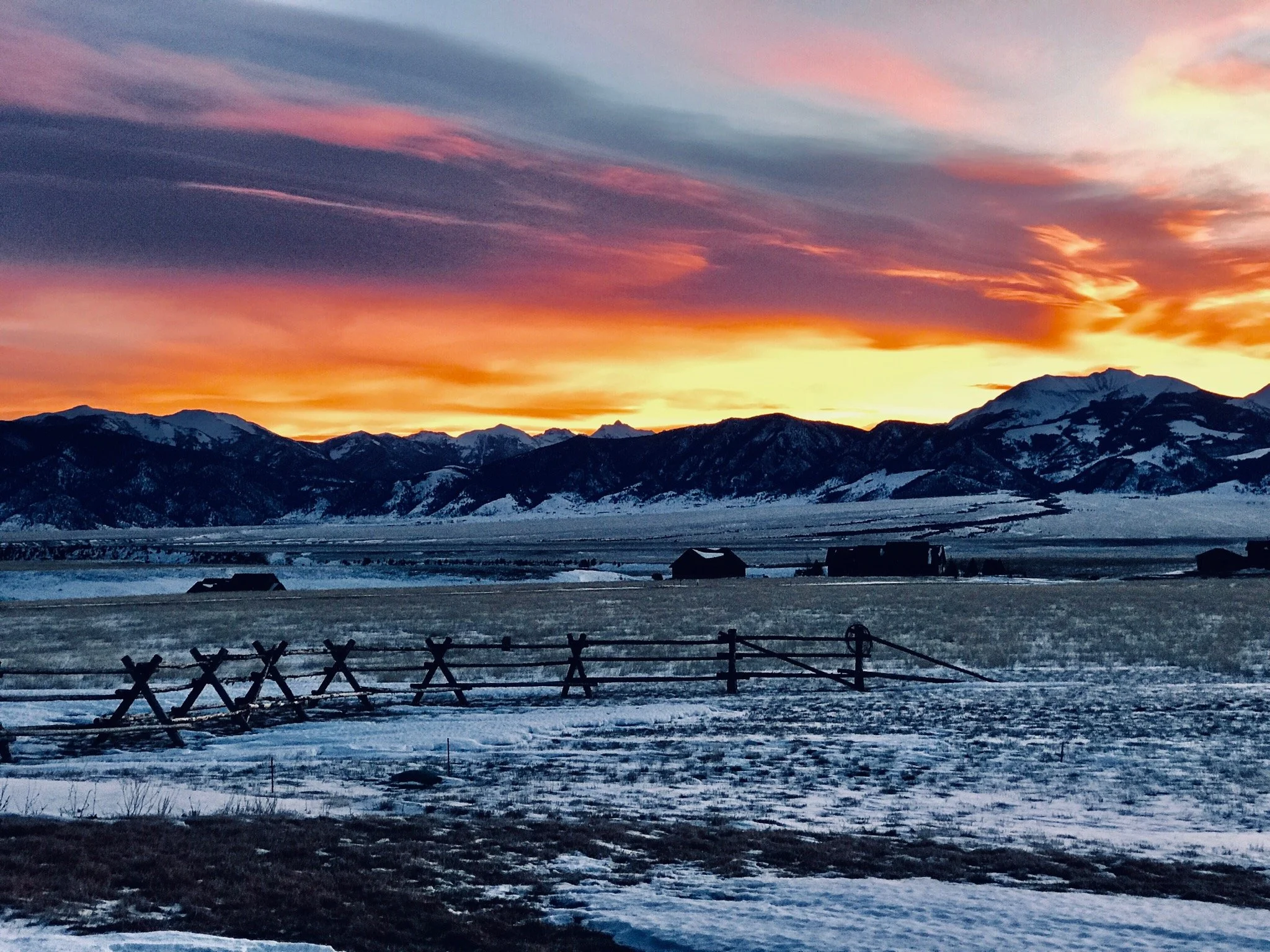 Blog 2 — Pronghorn Meadows