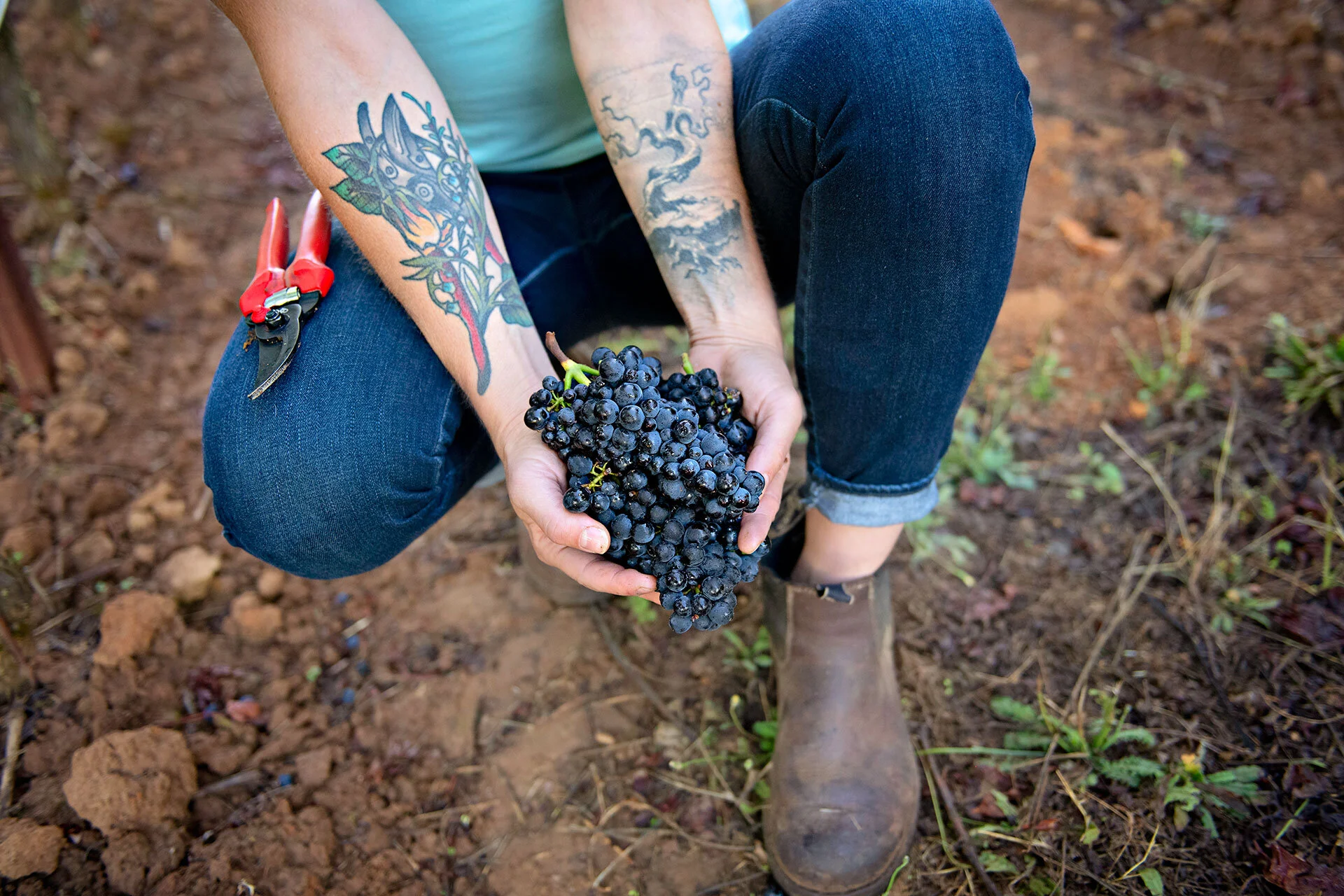 Our Team — Grape & Grain