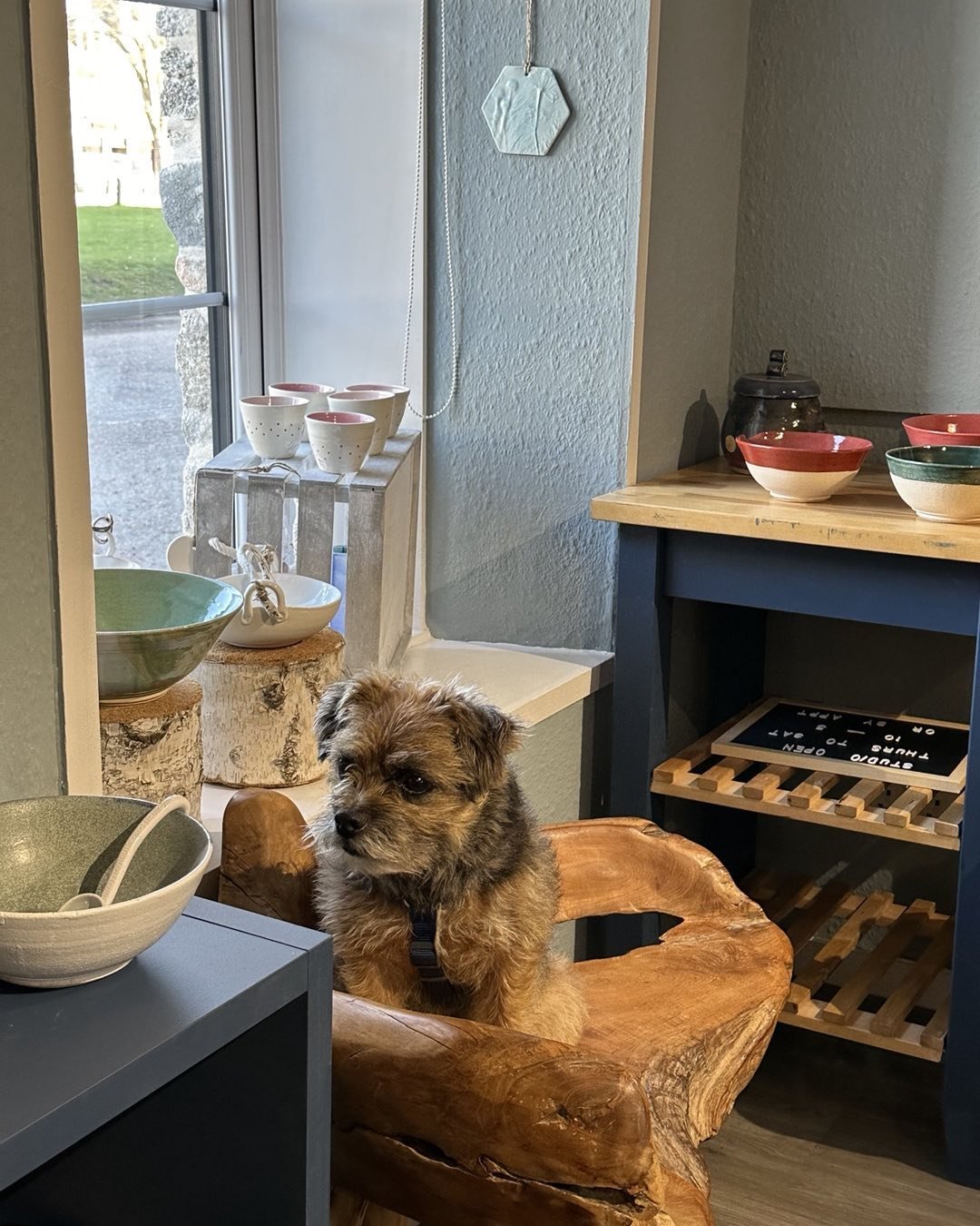 Window dressing. Pottery dog!  #border terrier #pottery shop #ceramics #Grantown on Spey #Cairngorms