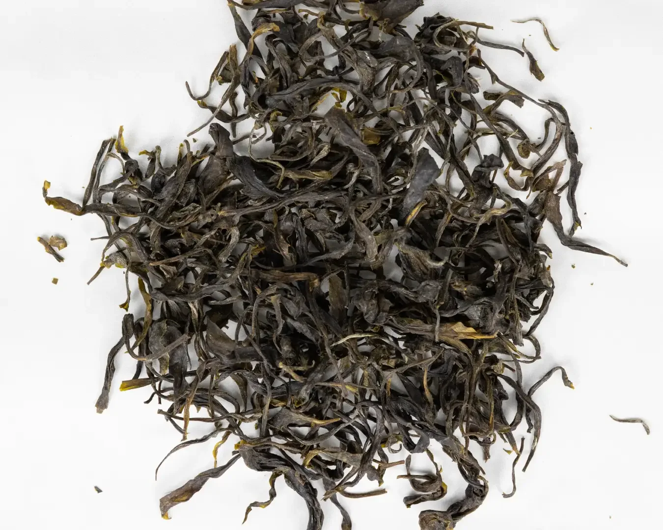 Midori Tide loose leaf tea organic-03.webp
