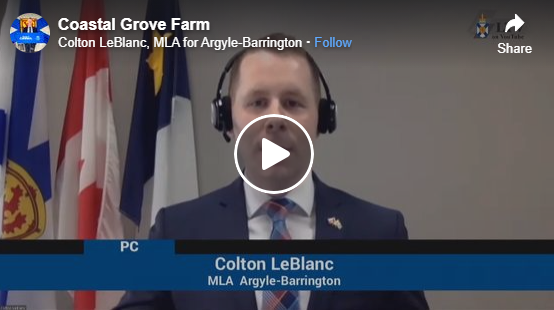 Locally-Grown Saffron Acknowledged in House of Assembly