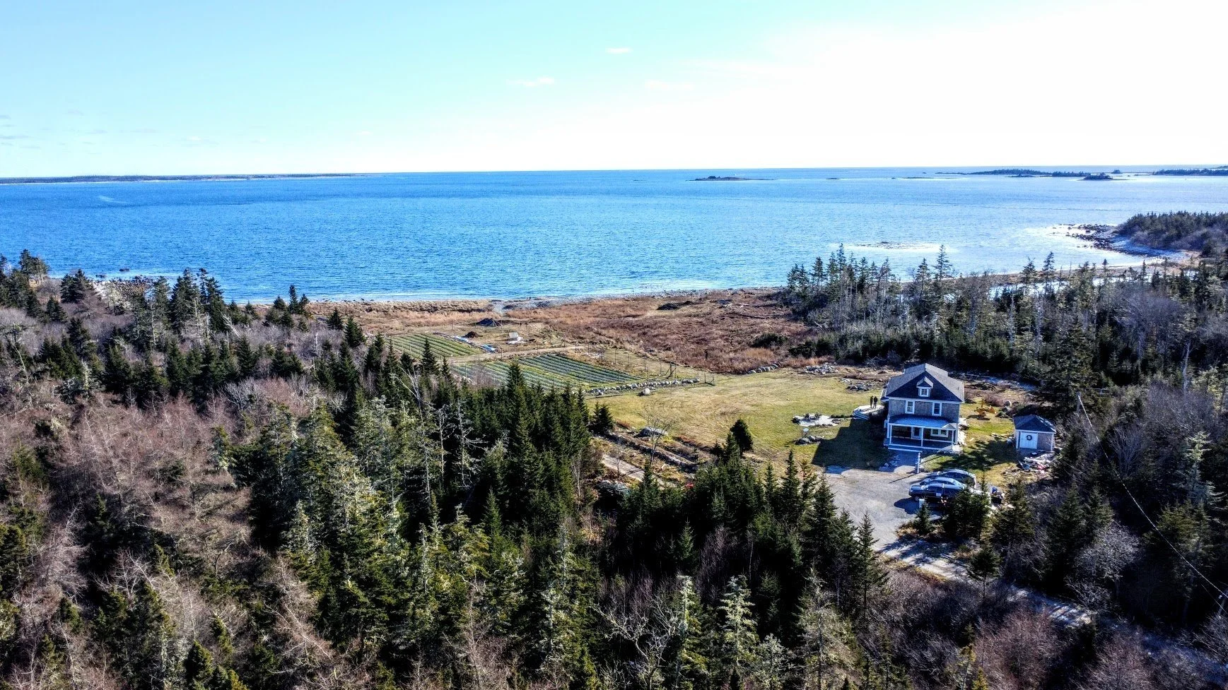 Coastal Grove Farm: The Story So Far