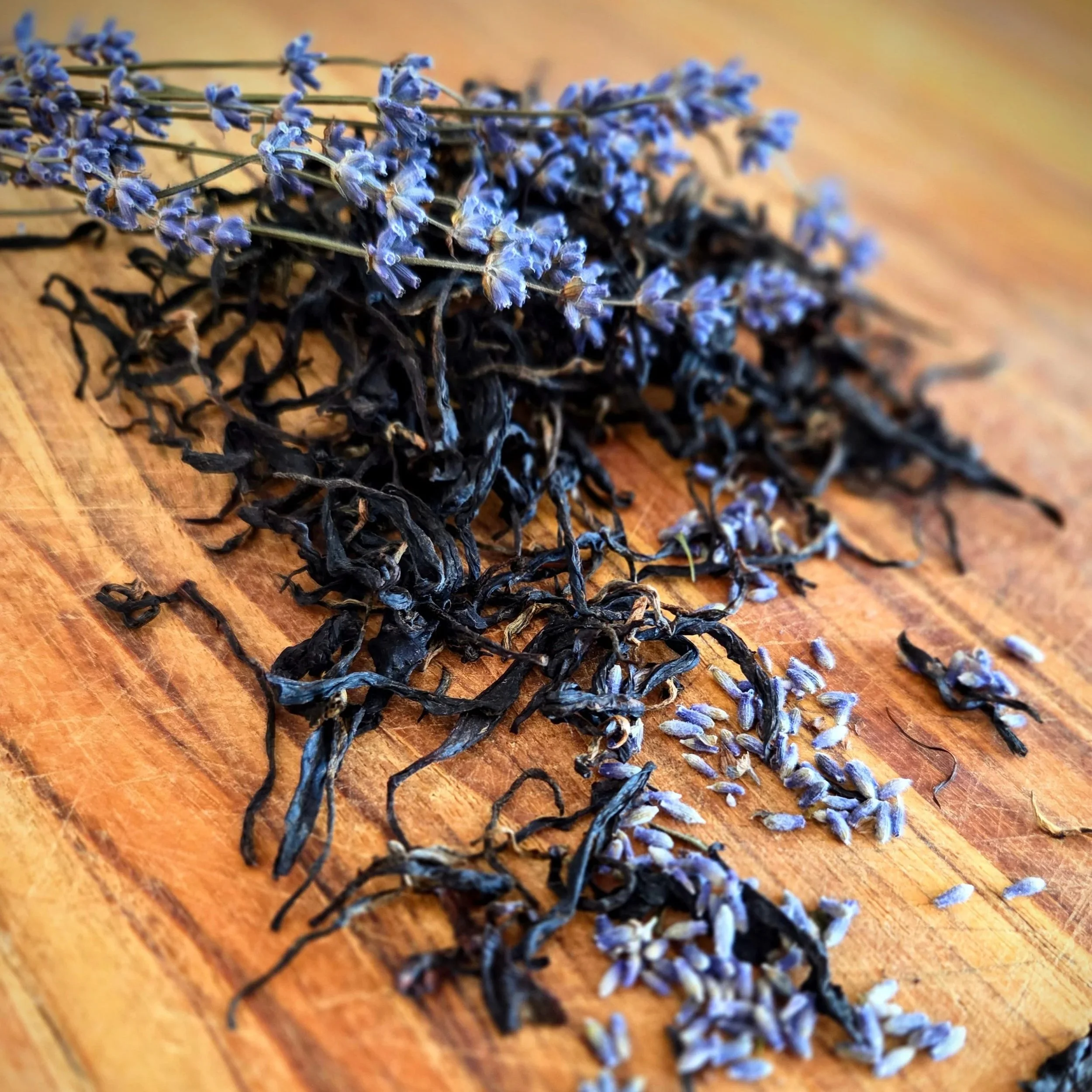 Black+Lavender.jpg