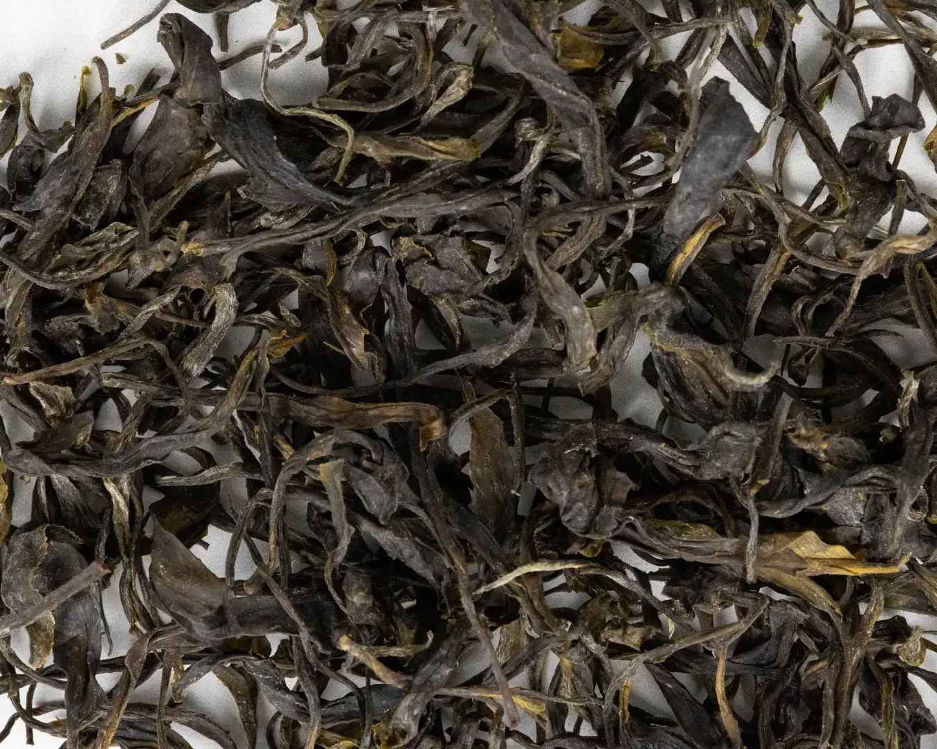 Midori Tide loose leaf tea organic-04.webp