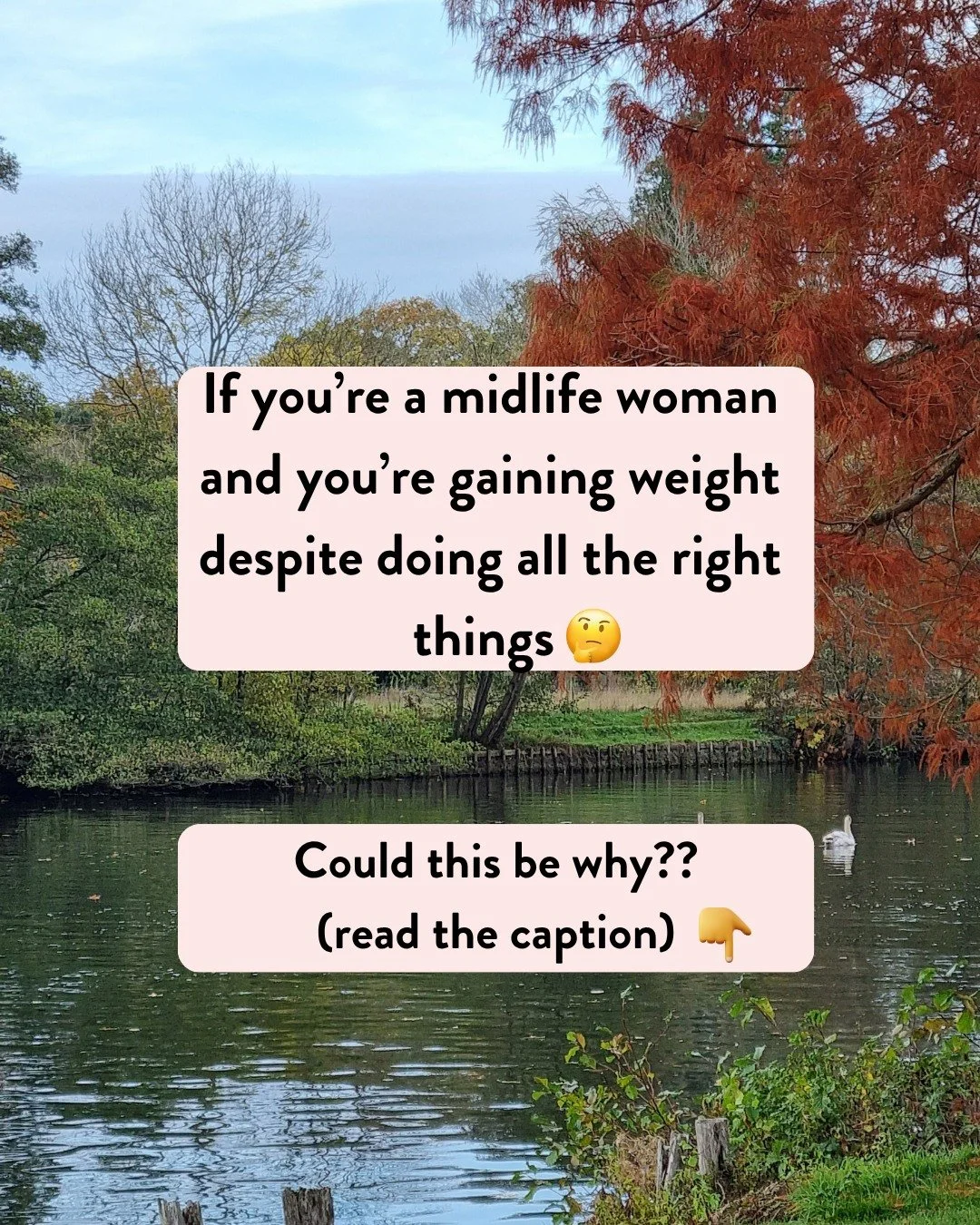 I get it! You&rsquo;ve tried everything, and you&rsquo;re at a loss at what to do?

Believe you me - you are not alone!

Lots of midlife women suddenly find themselves struggling with what to eat!
 
Their go-to diet is no longer working for them, and