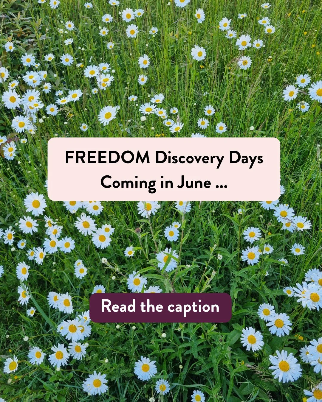 Ladies, if you&rsquo;re done with feeling exhausted, flat, hormonal, anxious, overwhelmed or just not like yourself anymore, then this is for you.

I&rsquo;m running 2 FREEDOM Discovery Days in June (Tues 2nd June and Fri 19th June) where you can boo