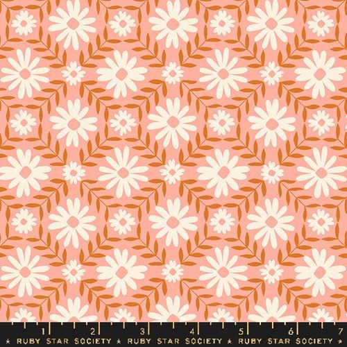 Daisies - Endpaper - Bashful - 1/4 Yard