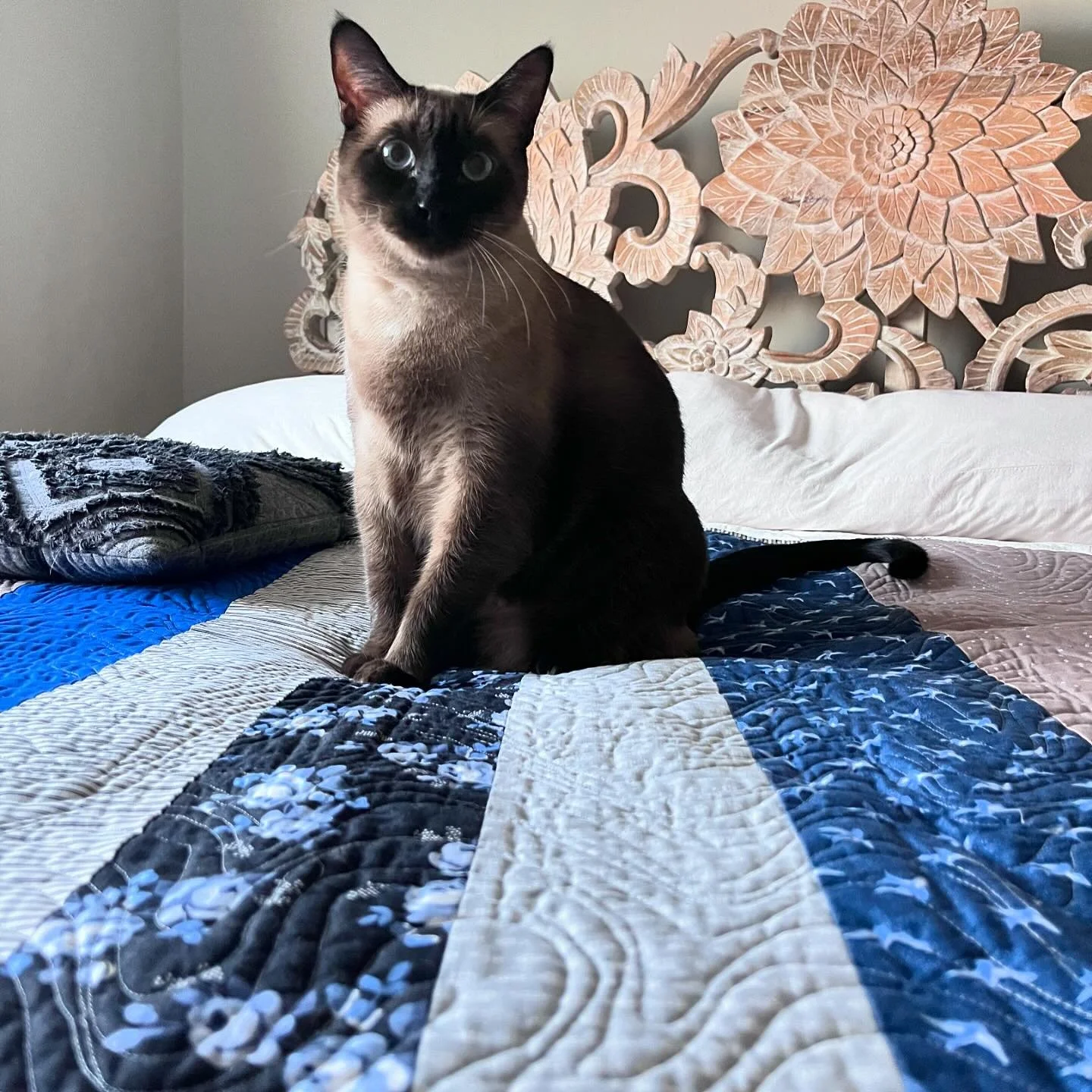 If you are looking for a fun and easy way to use your stash to create a quilt back? I&rsquo;ve got you covered!! Head over to my blog to see how I made the backing for my Hope&rsquo;s Path Quilt. I shared a step-by-step tutorial so you can make one t