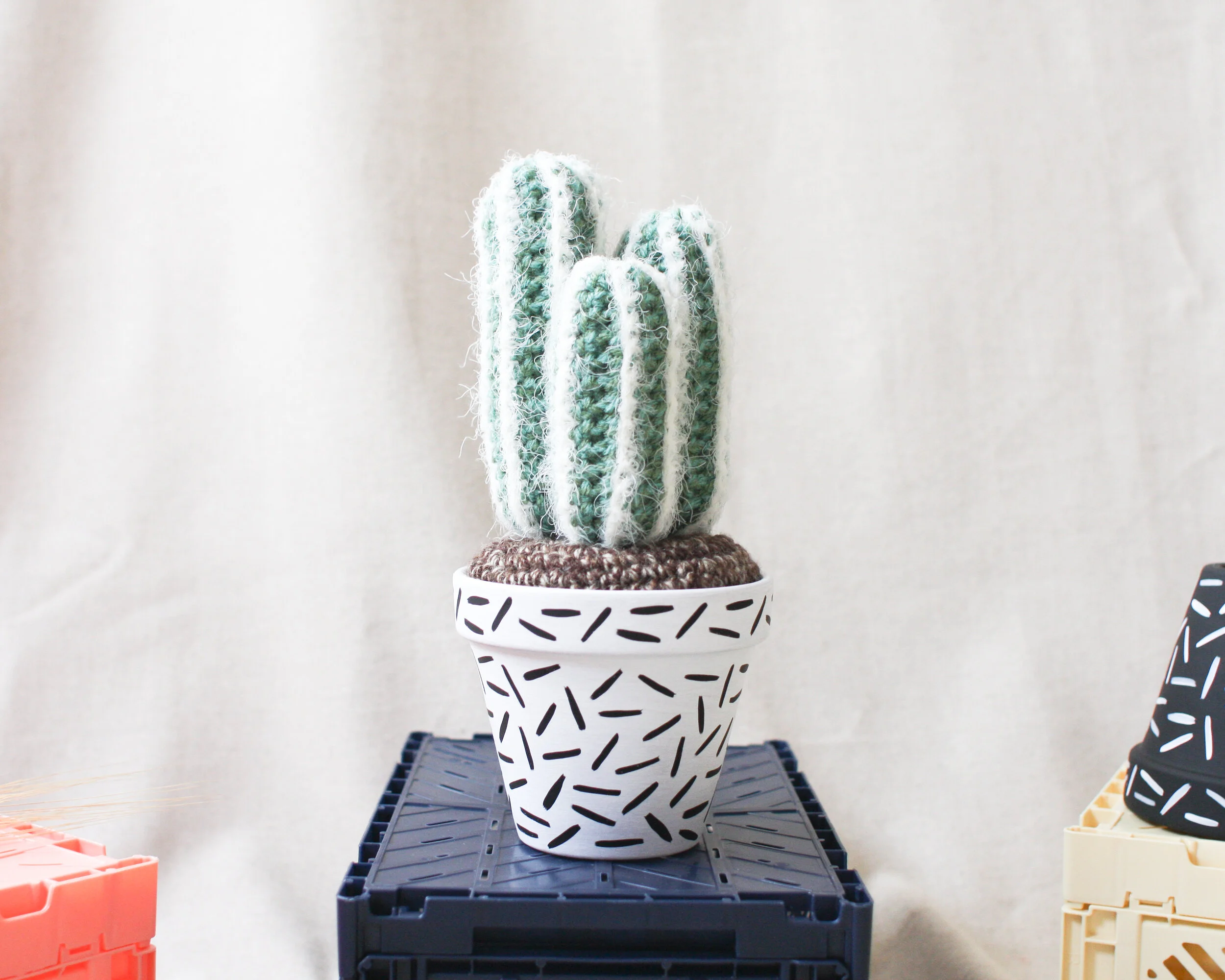 cactiEDIT-16.jpg