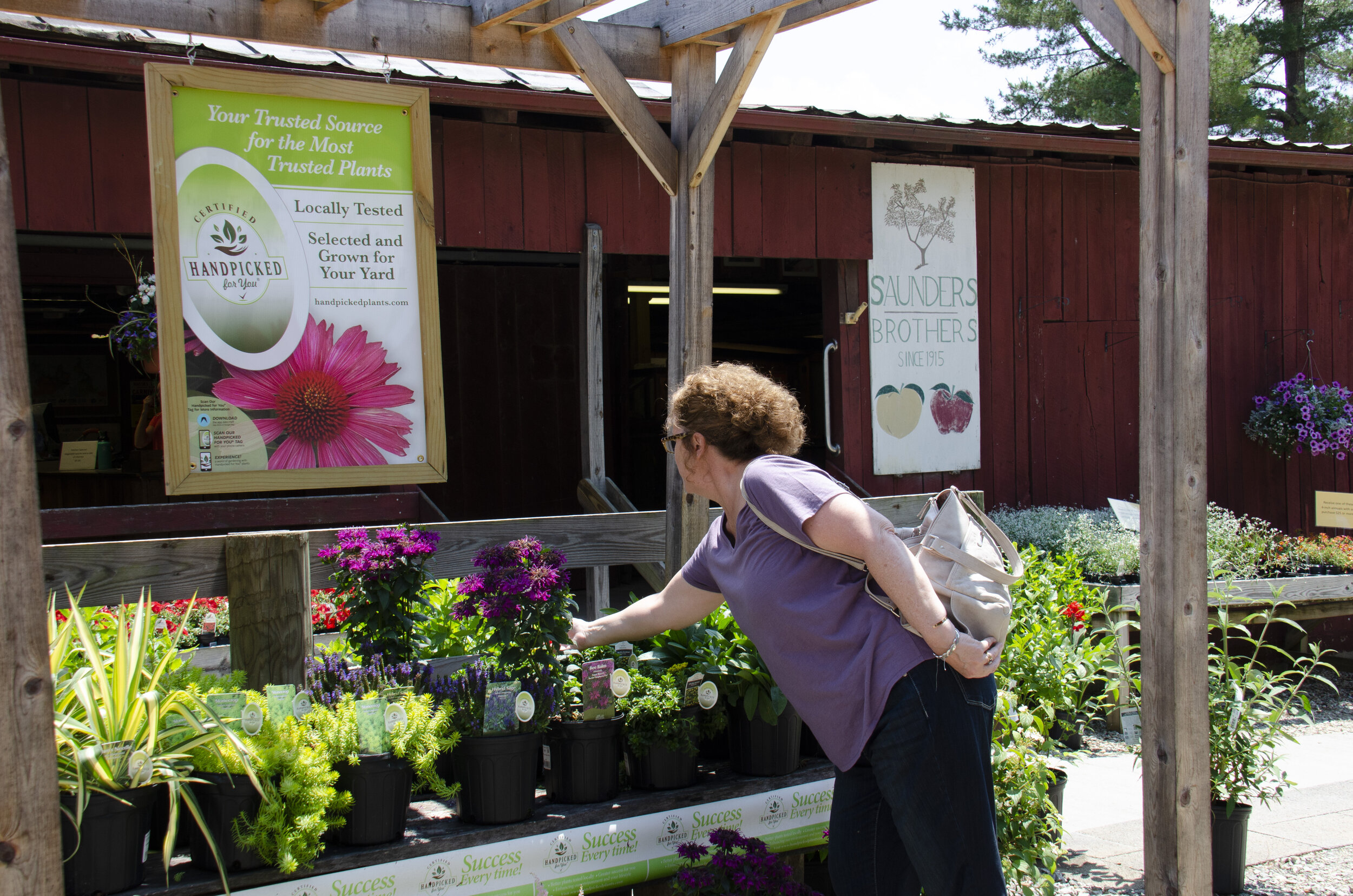 Farm Market — Saunders Brothers Farm Market