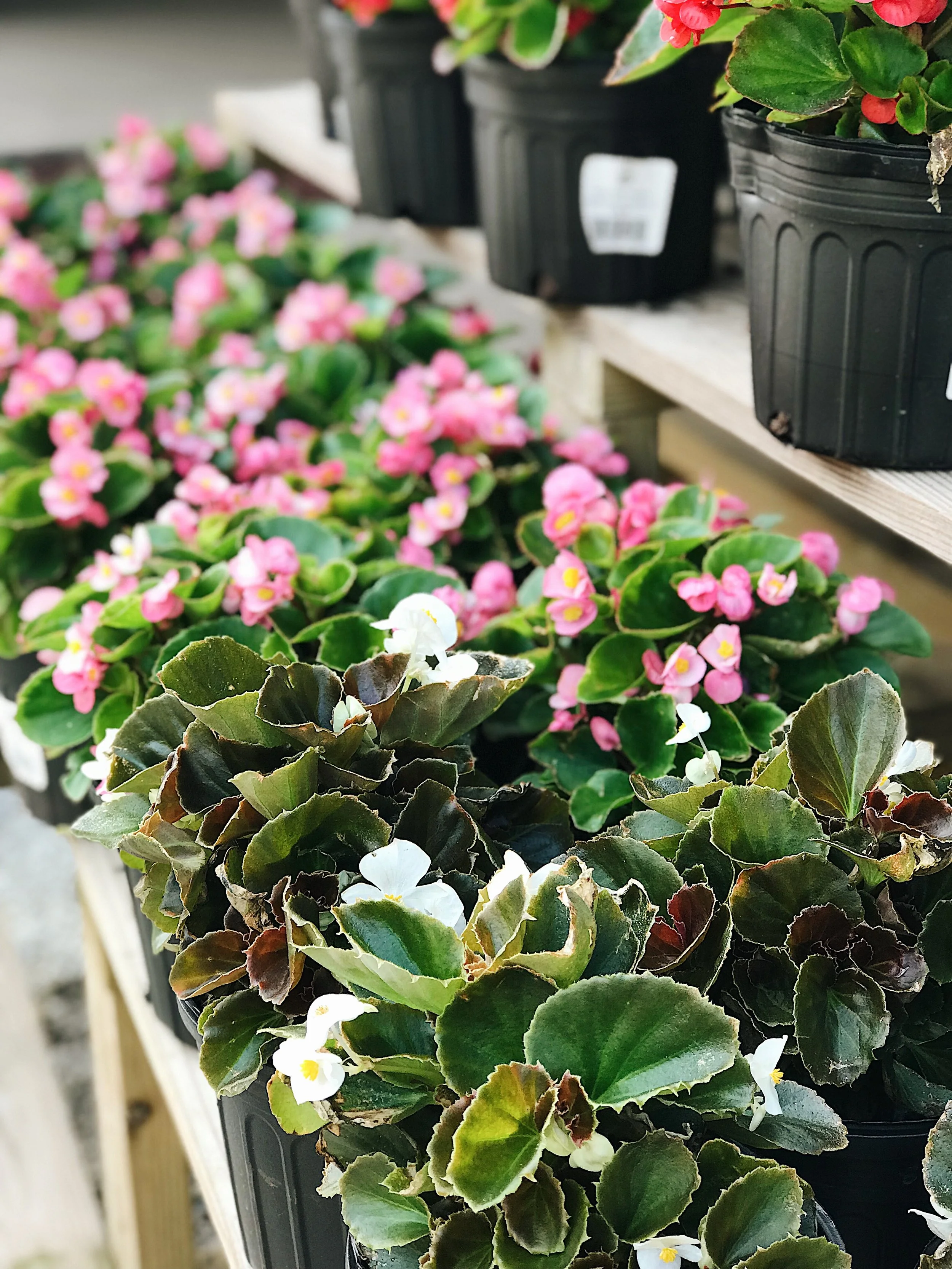 Photo Jun 08, 8 17 20 AM.jpg