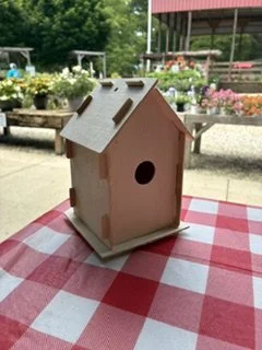 Paint a Birdhouse for Dad for Father's Day