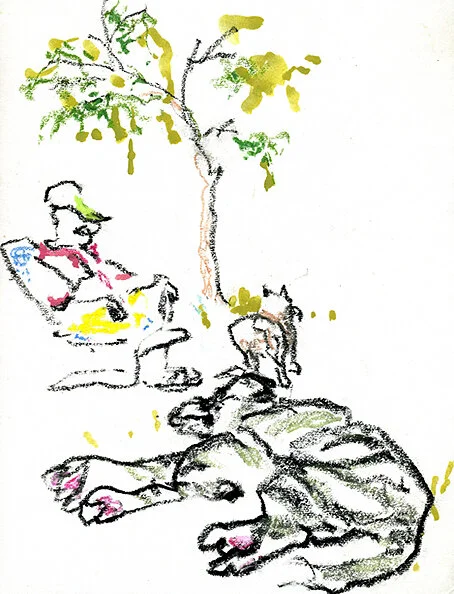 Siesta Time