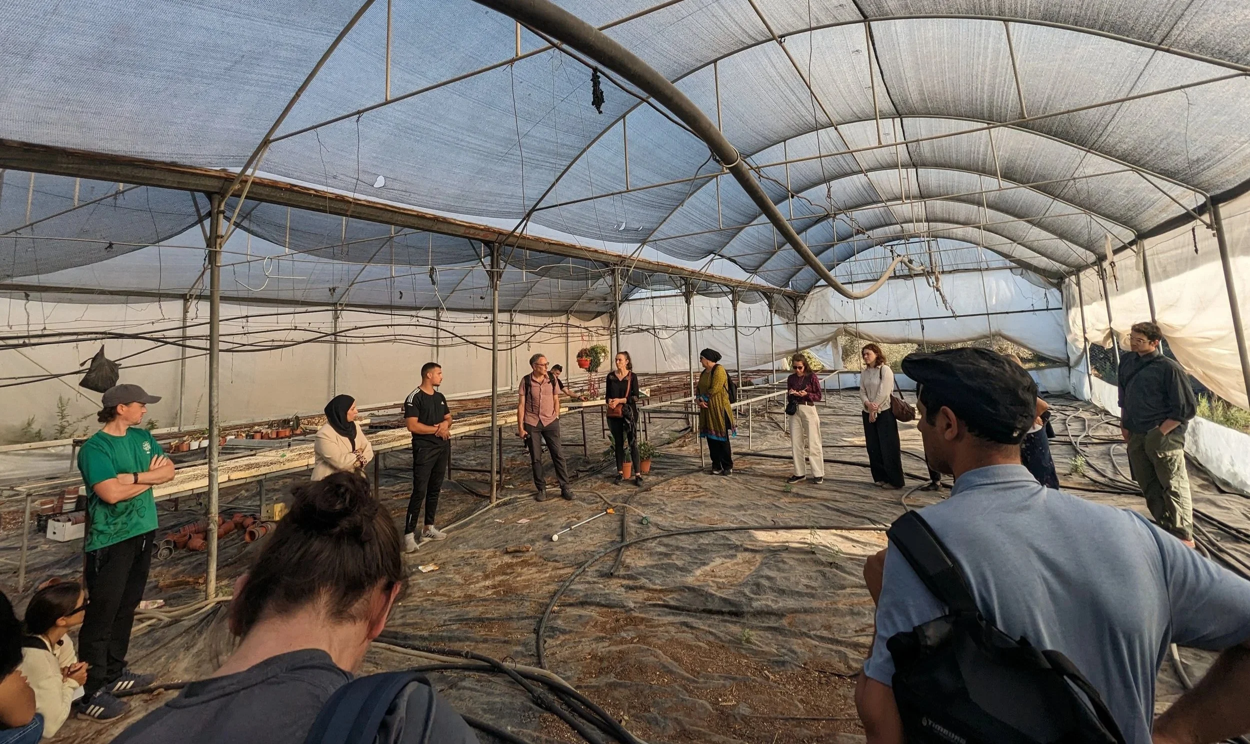 Delegation led by 1for3 viewing a greenhouse in Tulkarm camp. In 2026 it will be refurbished to provide food & funds for the community.