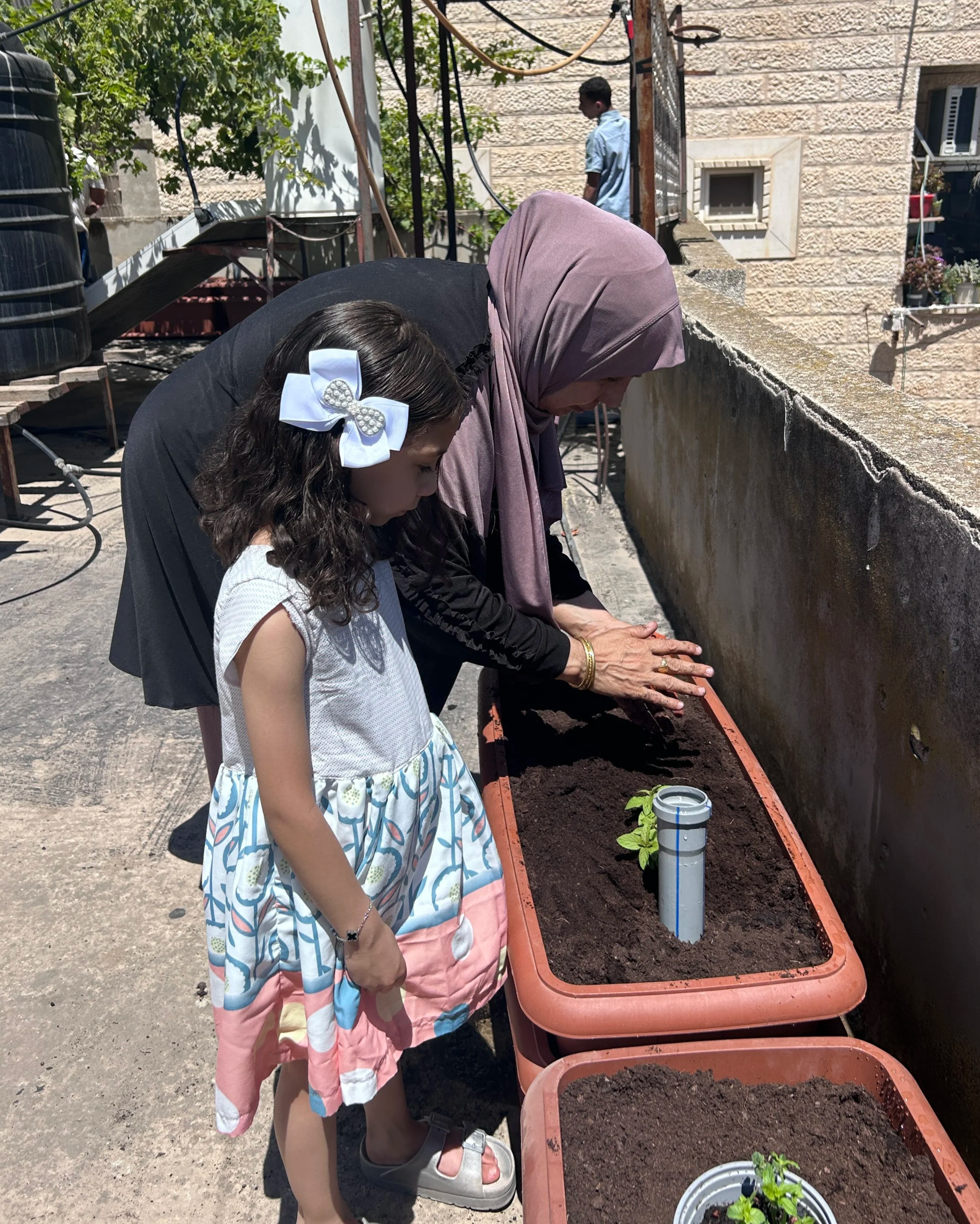 A family member planting seedlings in the new rooftop garden. This was a test plot.