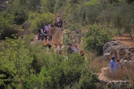 The hike got the teens into nature to see its glory & to learn about the diversity of local plants, the impact of climate change & of course to have some fun. They are teens after all!