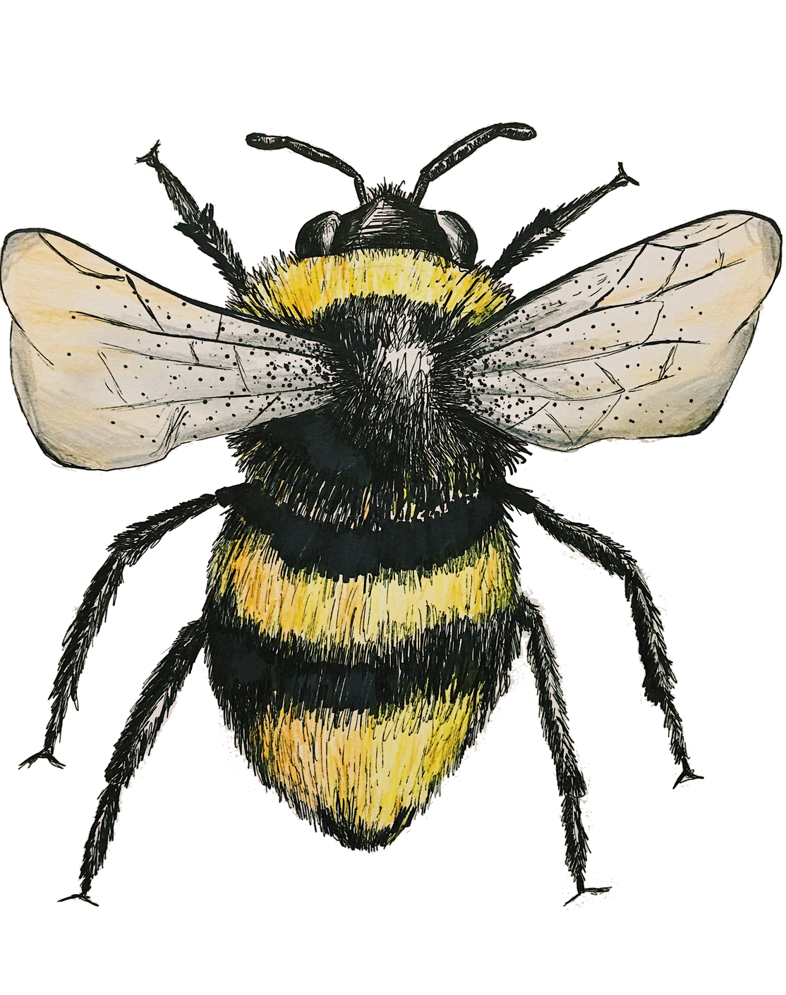 b3dfa0c1-158b-4ce4-9d4d-0250caa95c2f.png