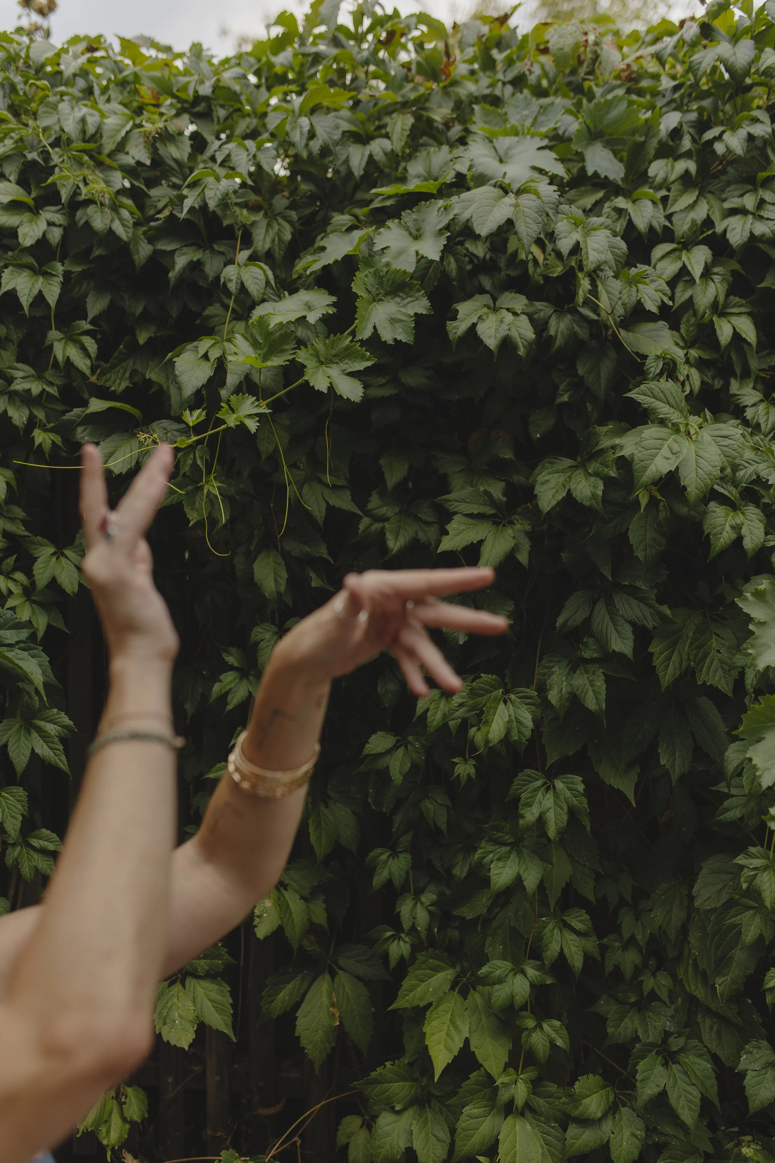 Abbey Daw comes with over two decades of experience. An expert in mindset & somatics. Unlock self-belief with Abbey Daw, transformational teacher, speaker, and celebrity coach. Explore coaching, somatic practices, and The Abbey Daw Method™.