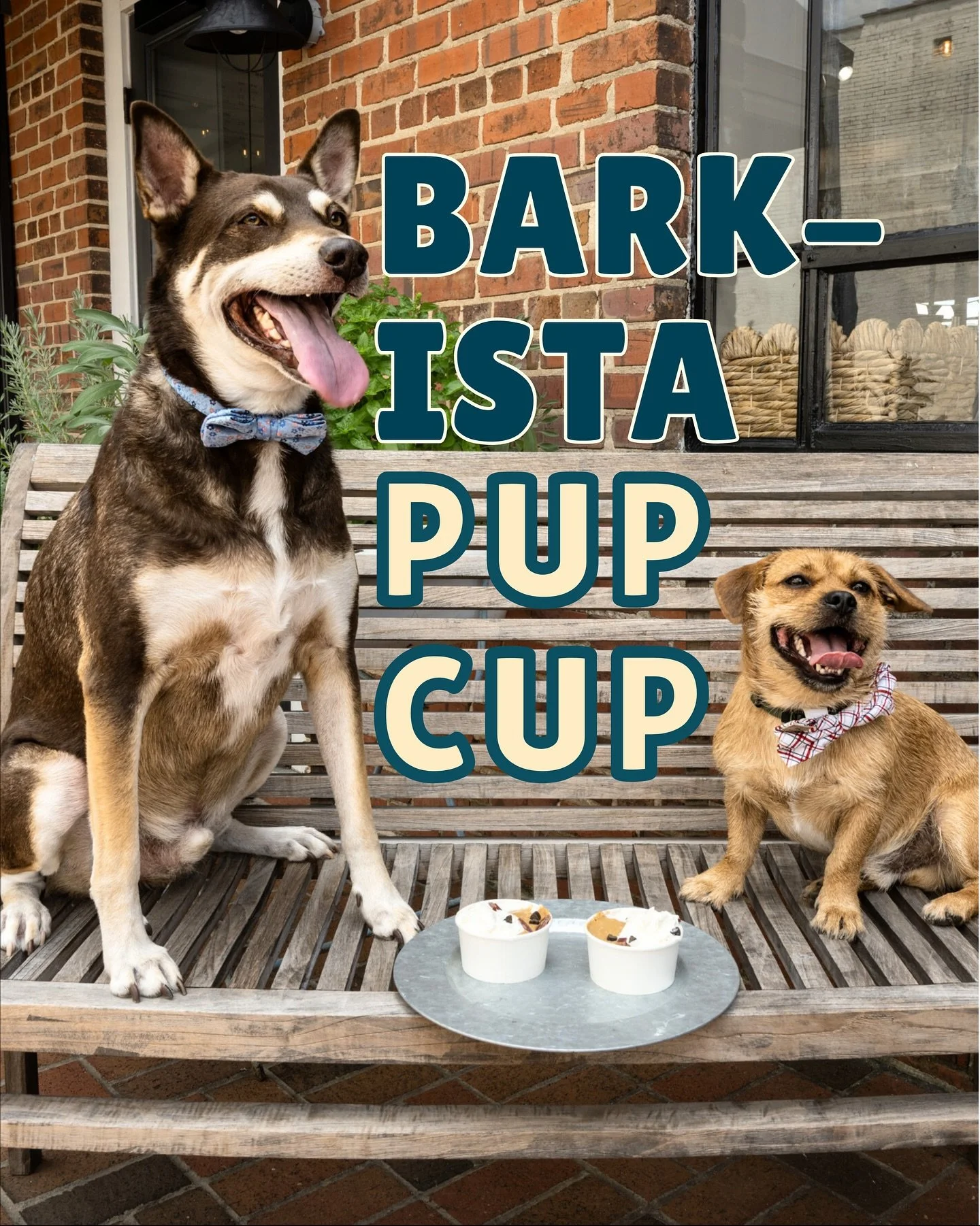 In honor of International Dog Day tomorrow (August 26th) we&rsquo;re serving up our Barkista Pup Cup during our regular hours (7:30&ndash;2:30pm)! Bring your pup and enjoy our pet-friendly patio together! 🐾 
&bull;
Our Pup Cup is made with all-natur