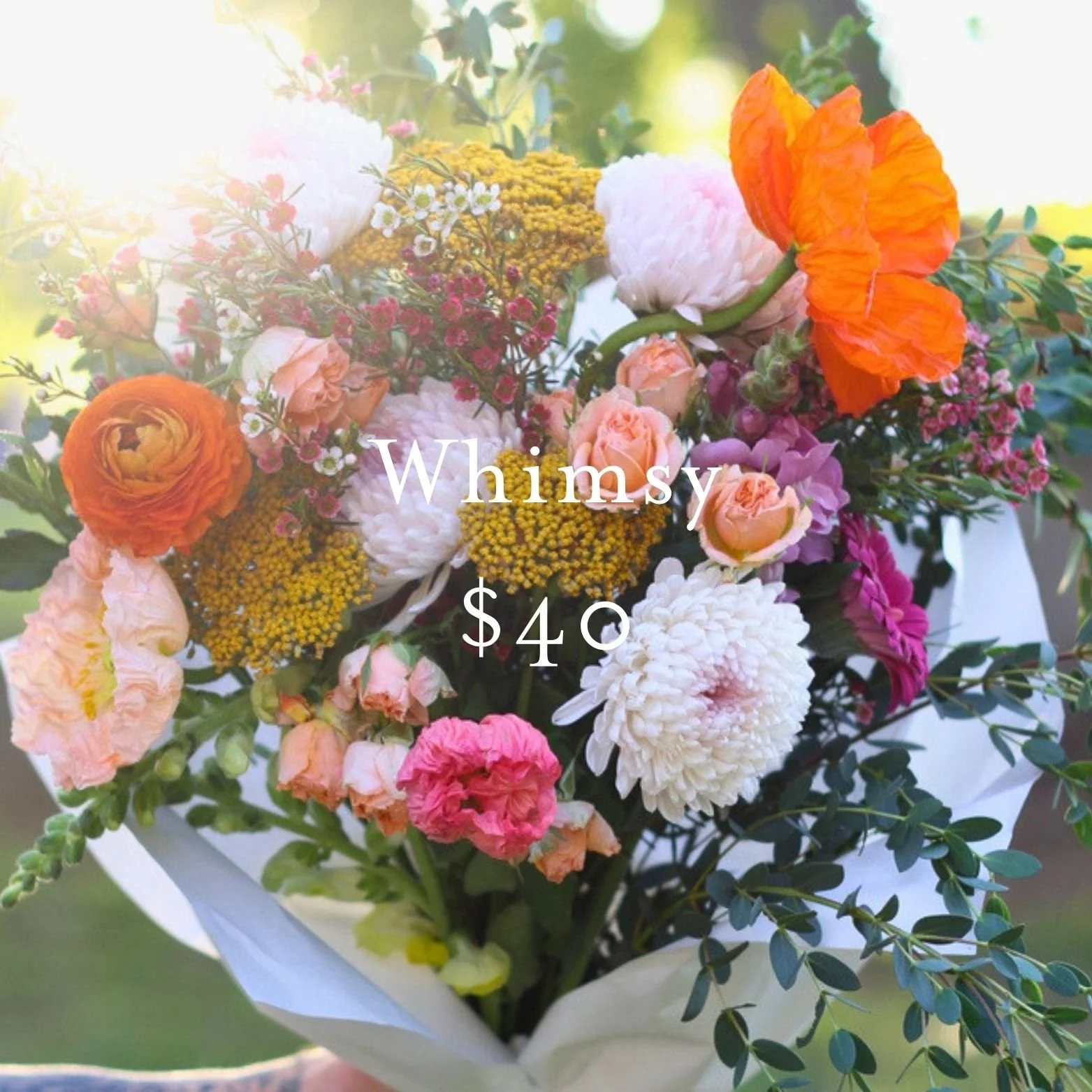 whimsy_Website.jpg