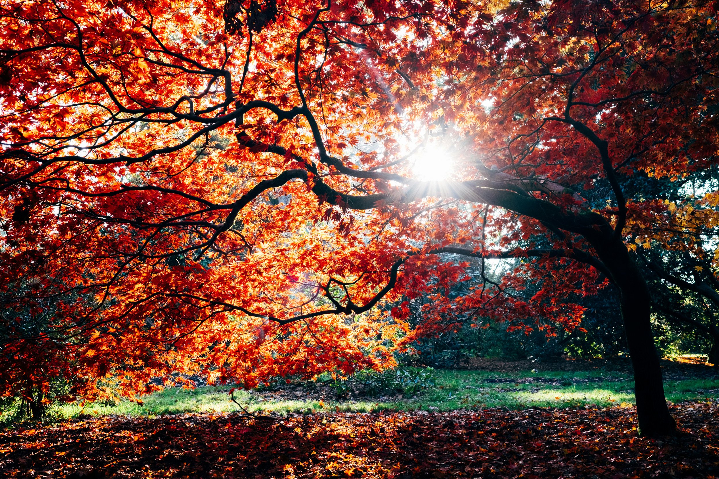Equinox Sonic Energy Meditation 