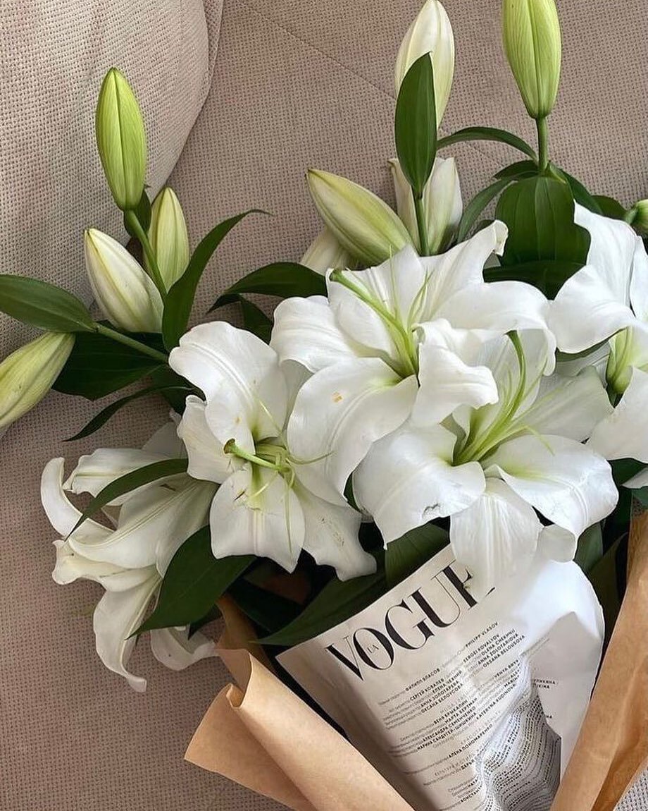 Happy Monday! May this week be a good one for you! 🩷💐

⁣📸 : unknown (dm for credit). 
.⁣
.⁣
.⁣
.⁣
.⁣
#springflowers #flowerslovers #plants #beautiful #whiteflowers #nature #flower #flowerstagram #summer #photography