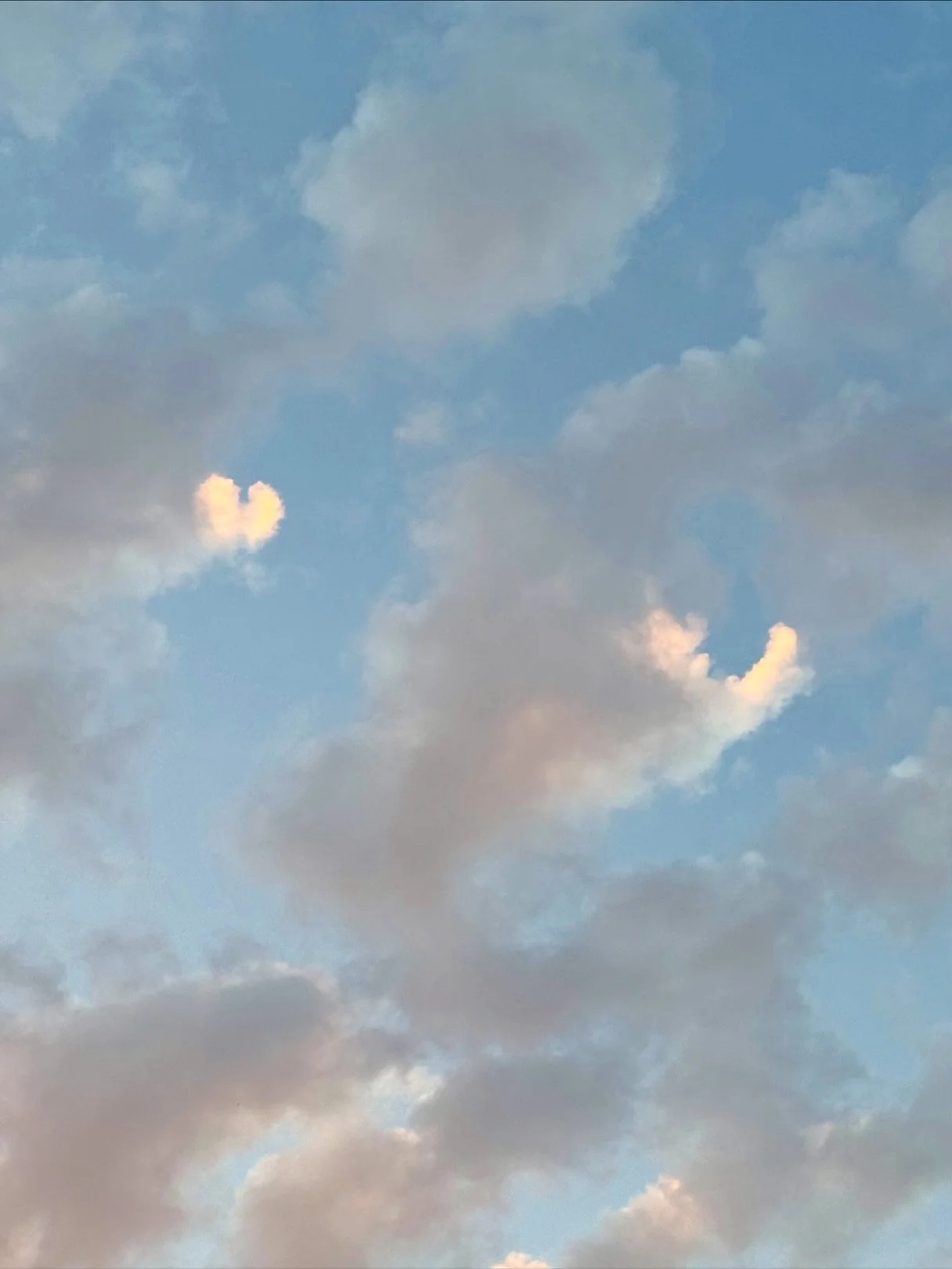 Out and about this fall ✨🤎💌🍂🥰 #autum #jellycat #localfarm