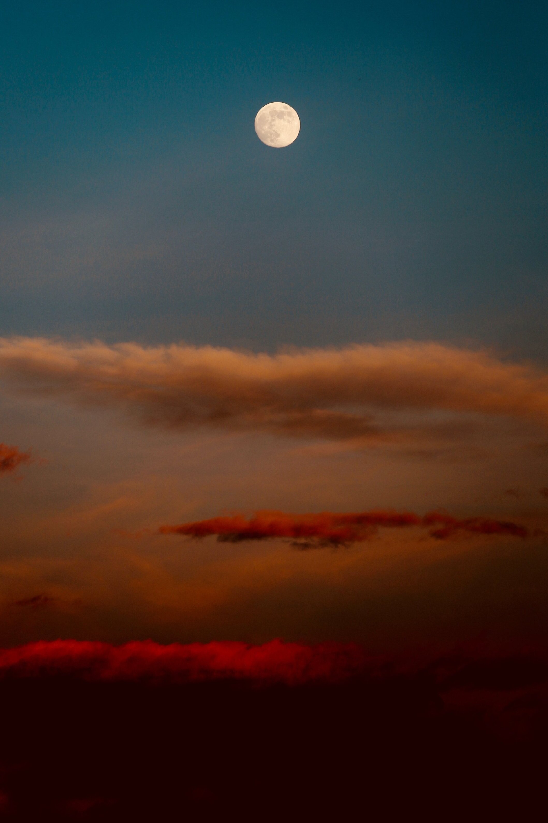 golden time of day. — mytenofcups