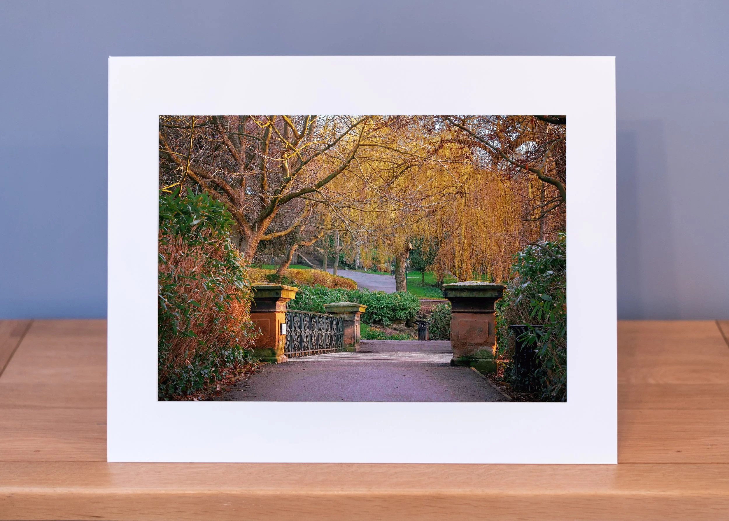 Autumnal Arboretum Lincoln