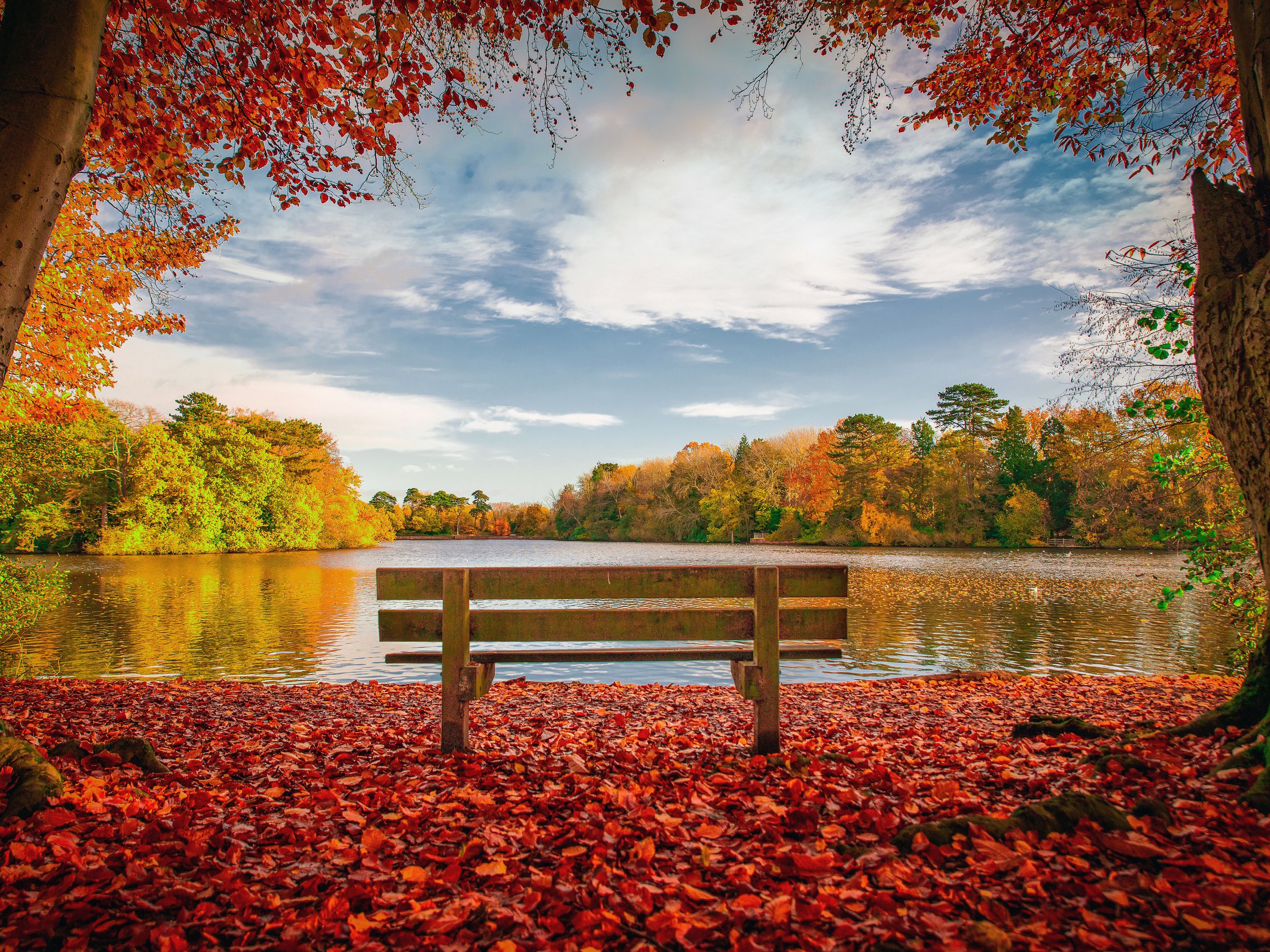 The Bench, Hartsholme Park copy 2.jpg