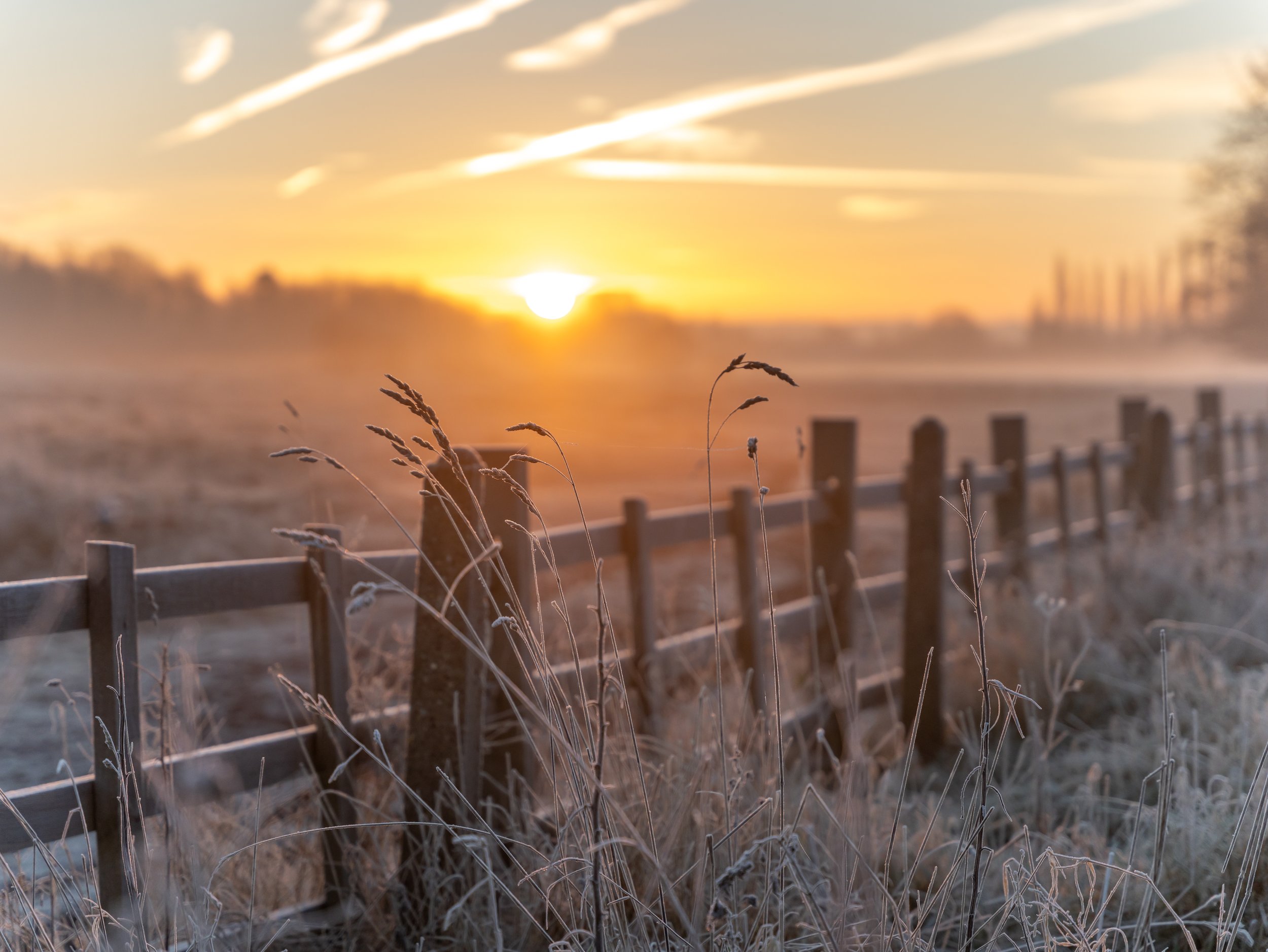 Sunrise on the West Common.jpg