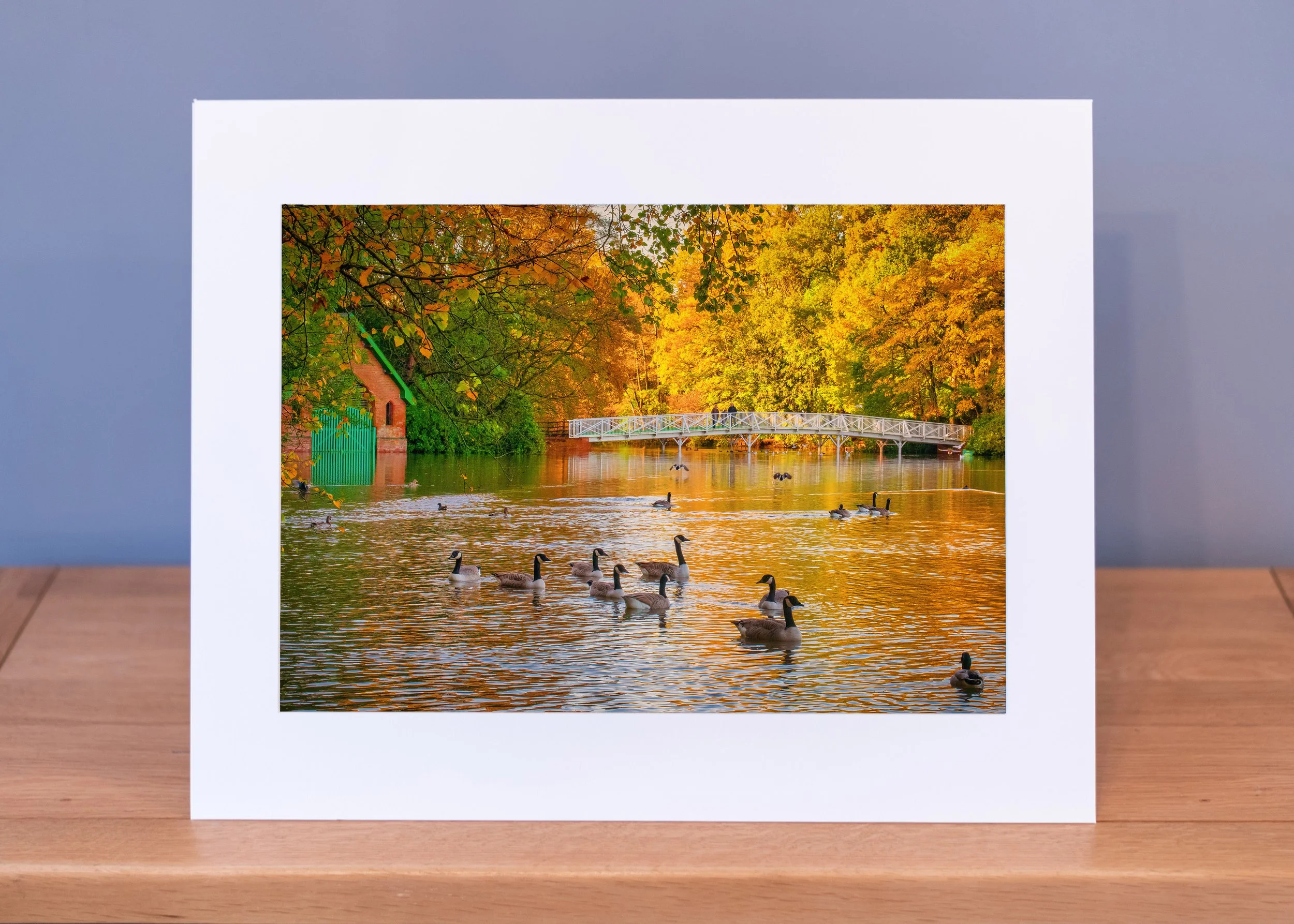 Hartsholme Park in Lincoln in autumn