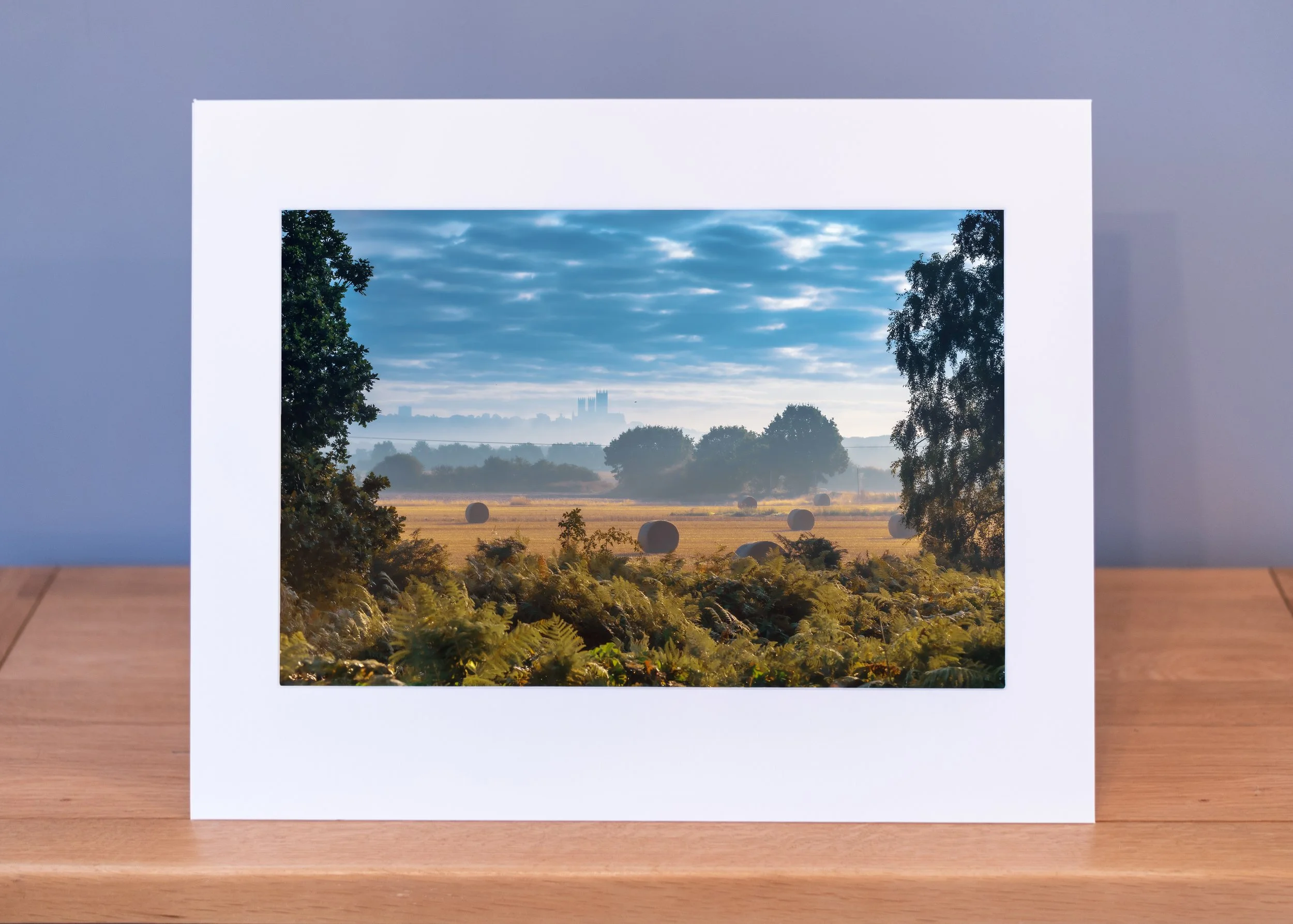 Harvest views looking towards Lincoln Cathedral