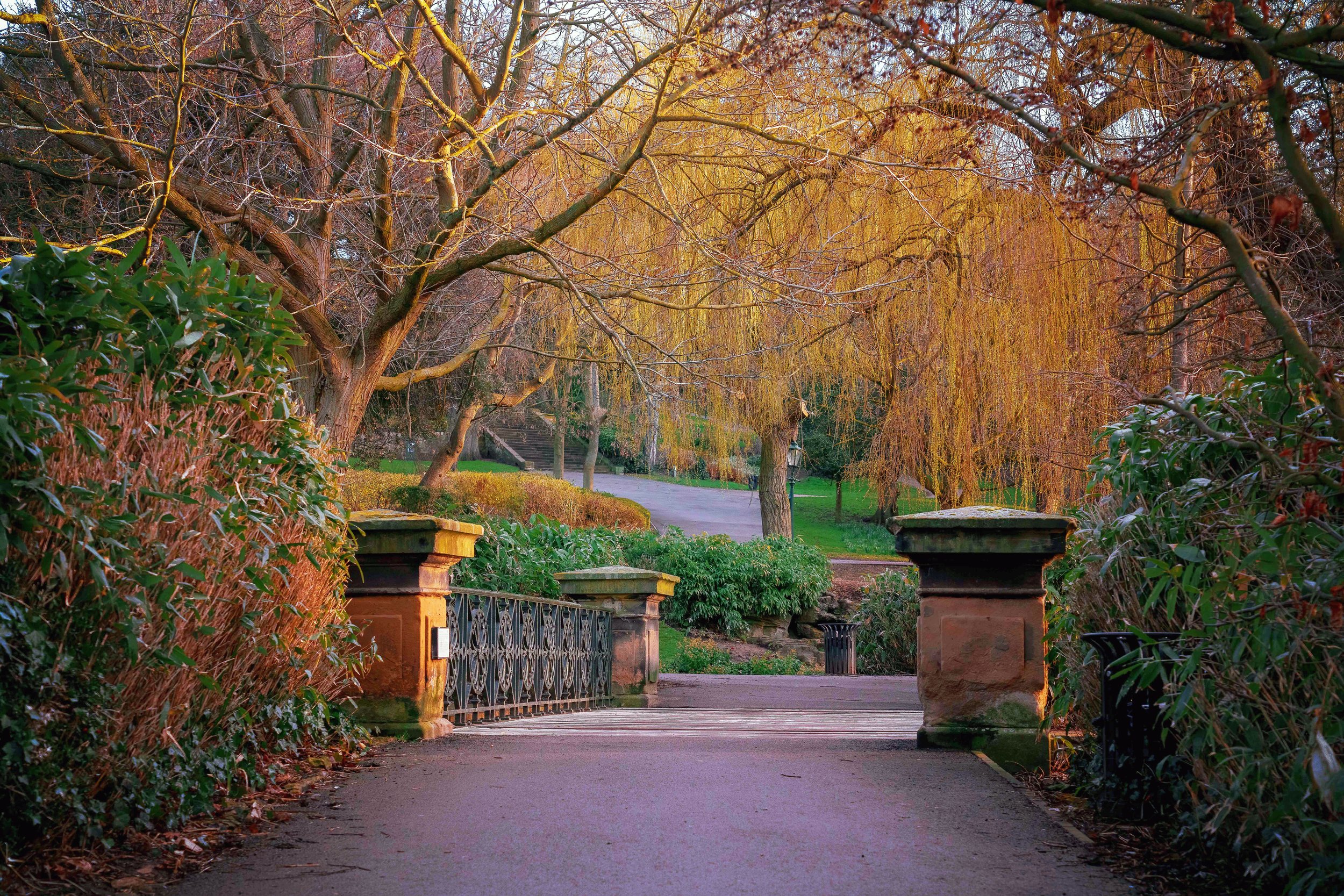 Autumnal Arboretum copy.jpg