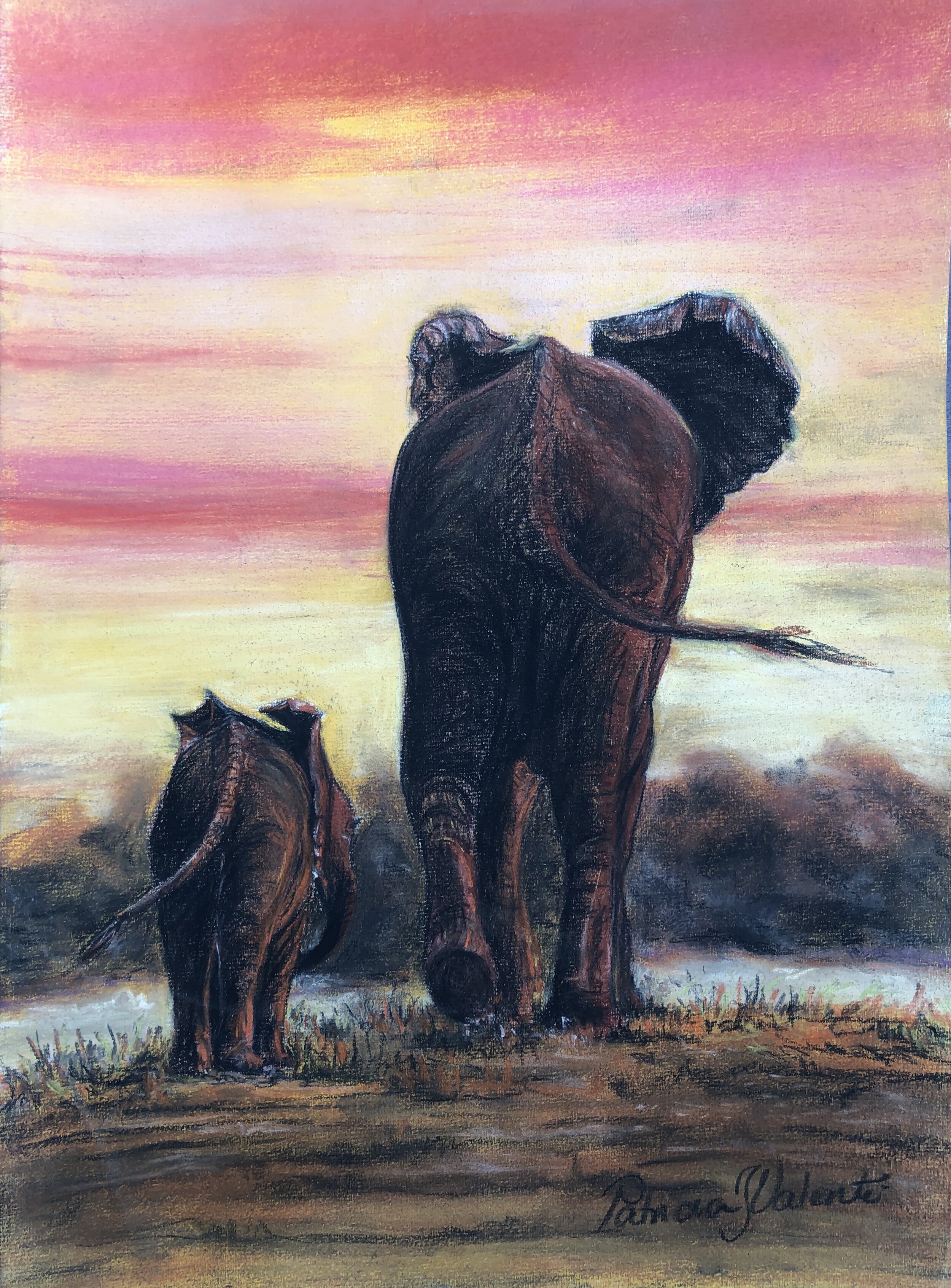 "Walk in the Sunset" Elephant Original Pastel Painting by Patricia J Valenti