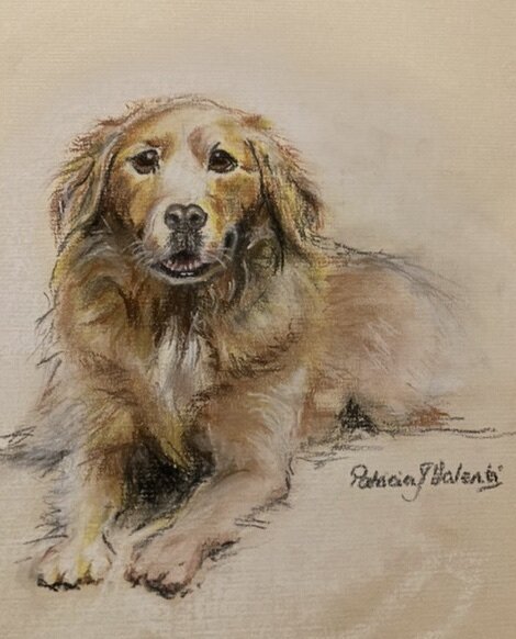 Golden Retrieverjpeg.jpeg