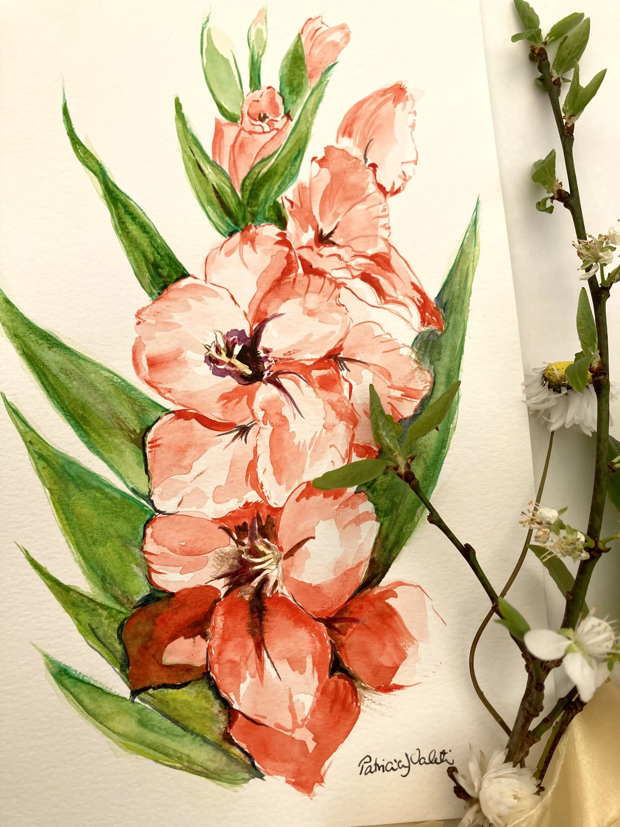 Gladioli3.jpg