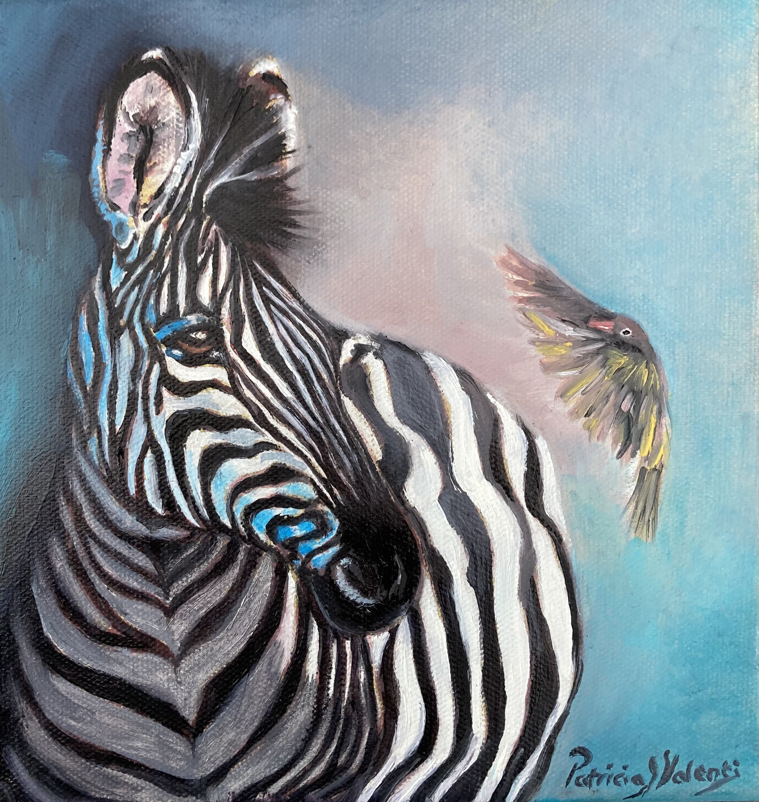 Zebra shadow.jpeg