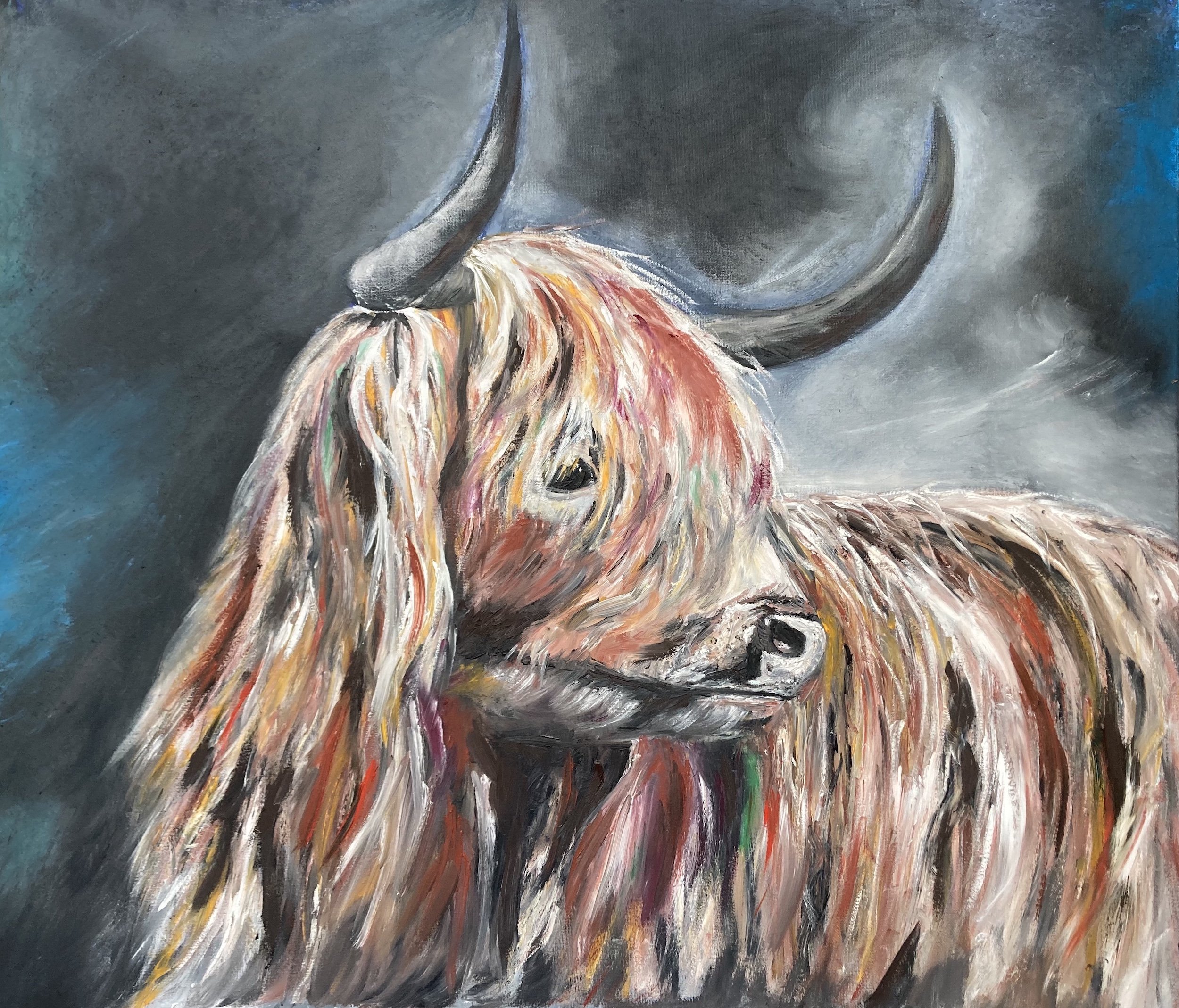 Highland Heifer by Patricia J Valenti.jpg