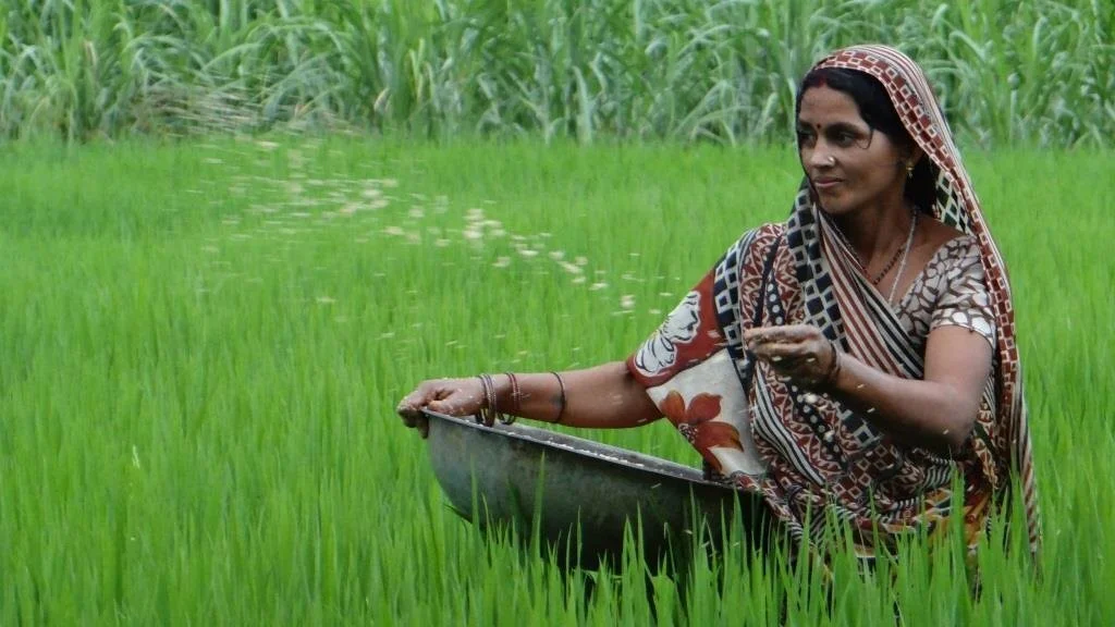 A laboring farmer in Bihar.source: Feminism In India