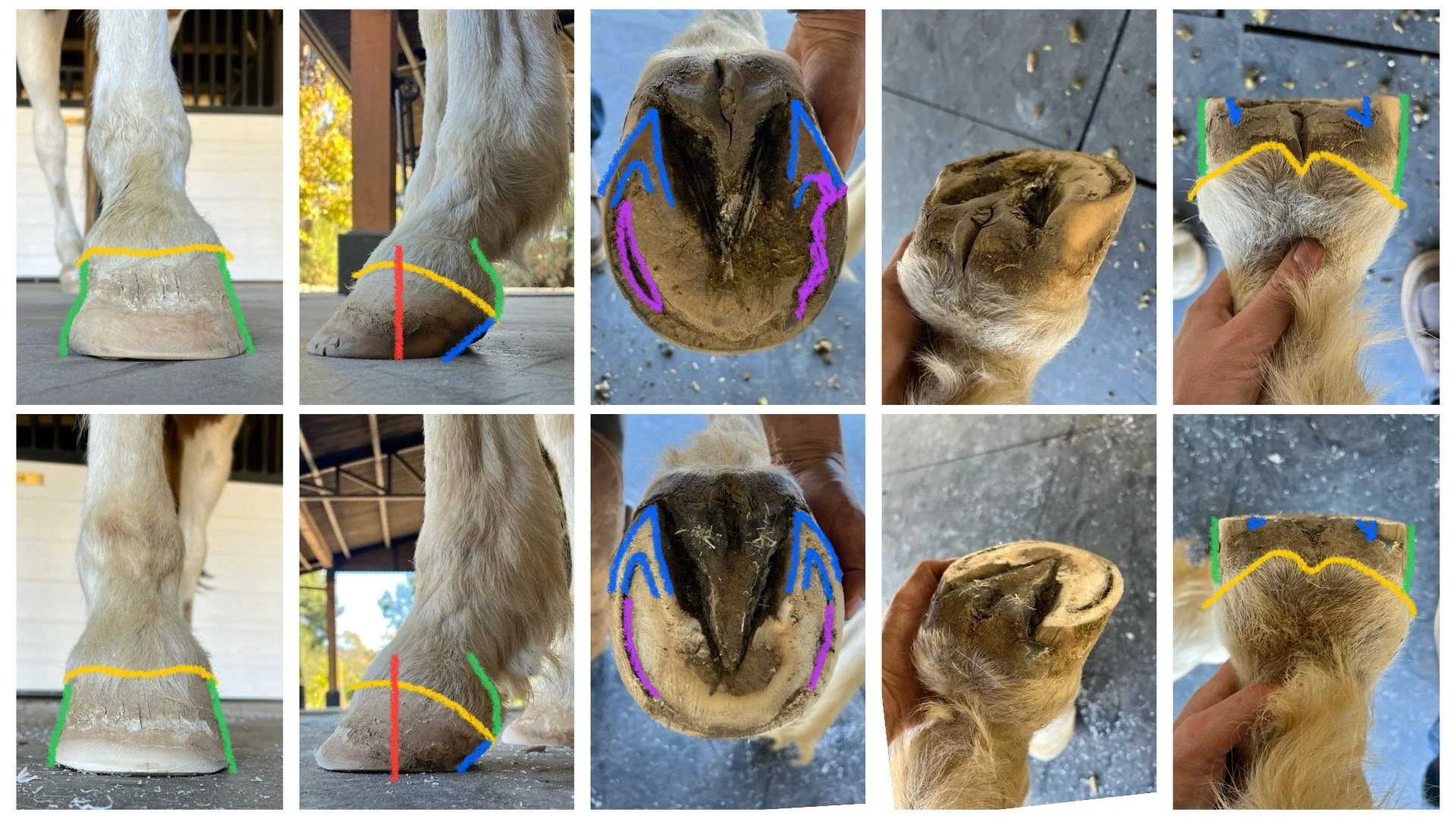 Changes from 1st trim (top) and 3rd trim (bottom) over the course of 3 months.