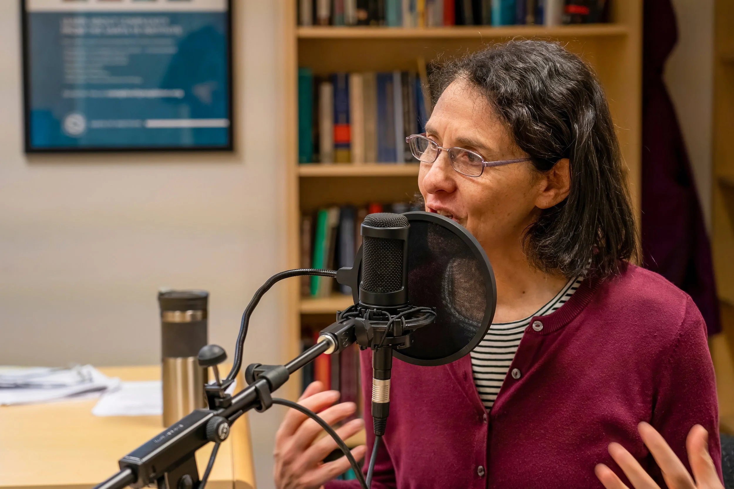 2020-01 Melanie Mitchell Talk-9.jpeg