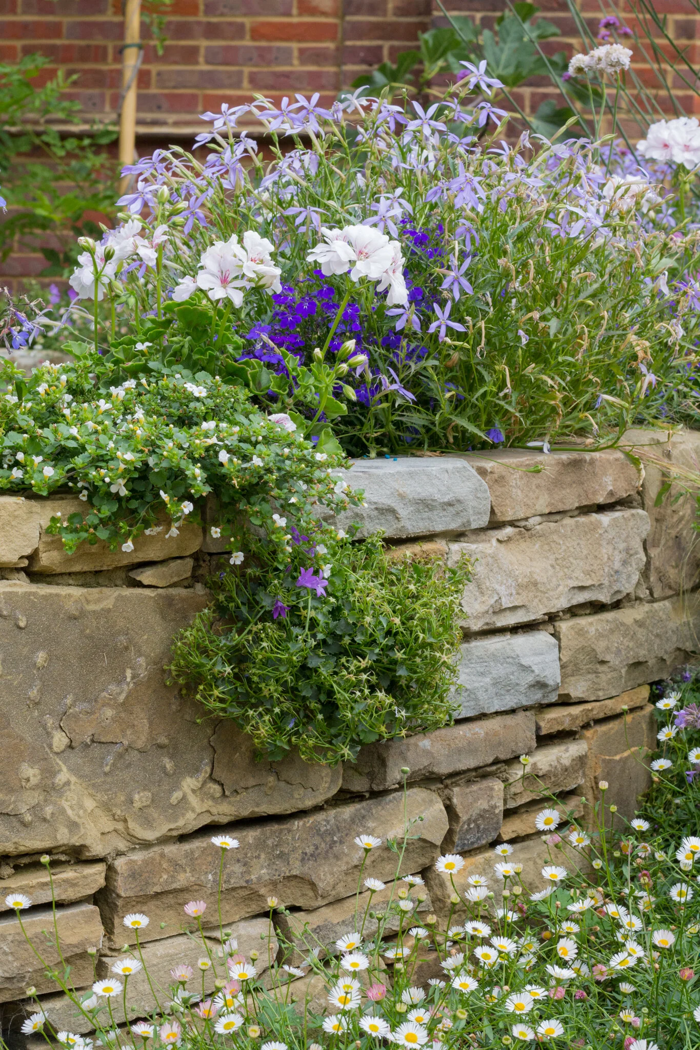 Colorful garden with purple, white, and yellow flowers growing in a layered stone flower bed.
