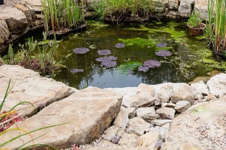 Natural Garden Banstead 012