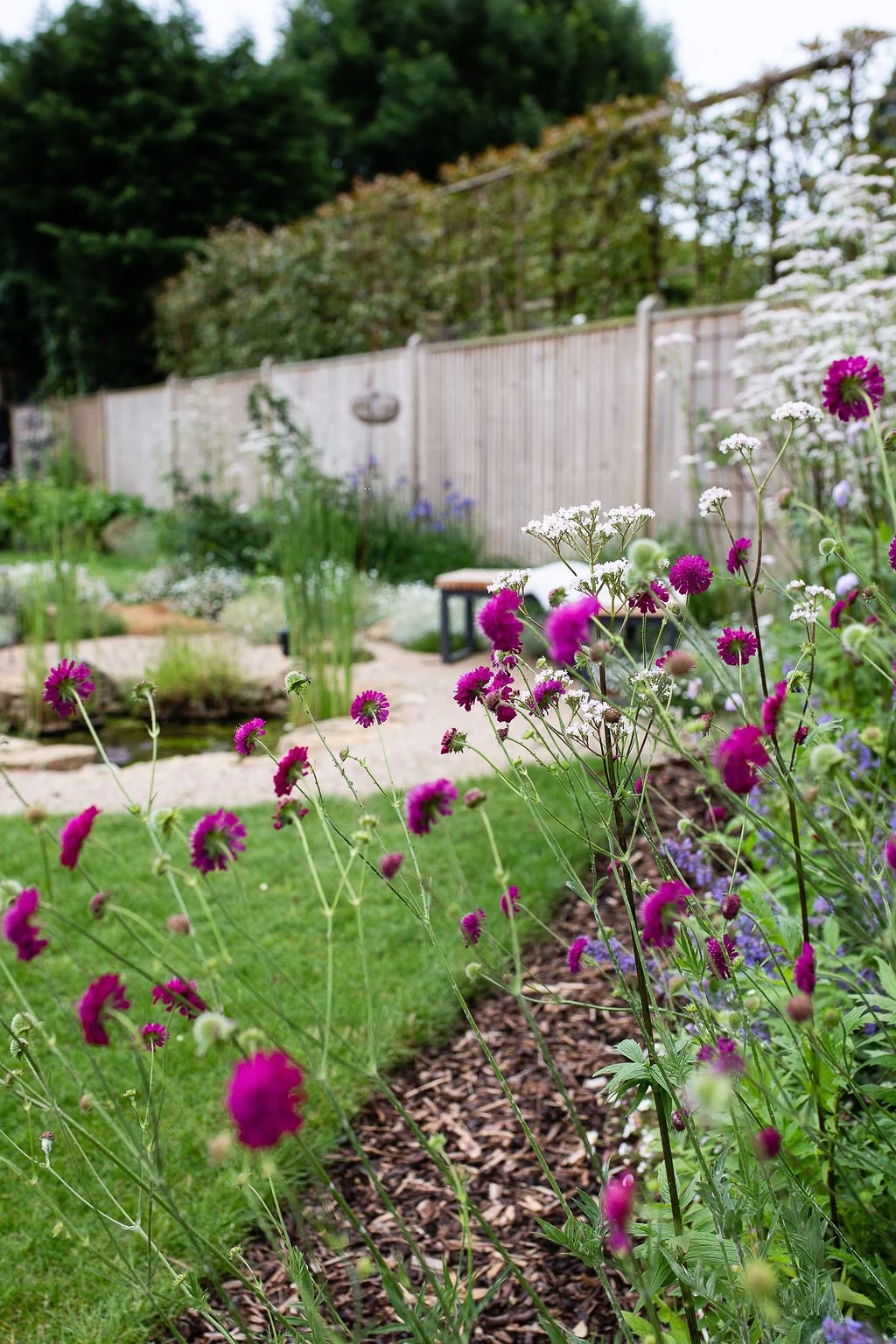 Natural Garden Banstead 010