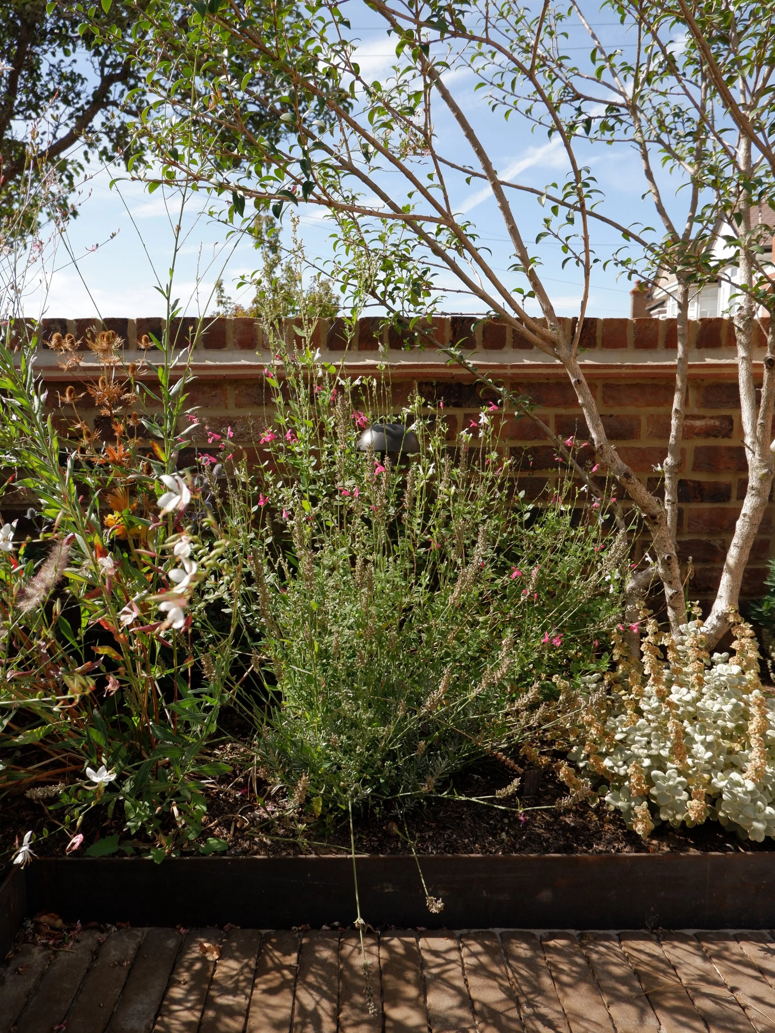 A garden with various plants and flowers in front of a brick wall, under a partly cloudy sky. There is a black landscape light on the ground among the plants. Harrington brothers Landscapes Surrey.