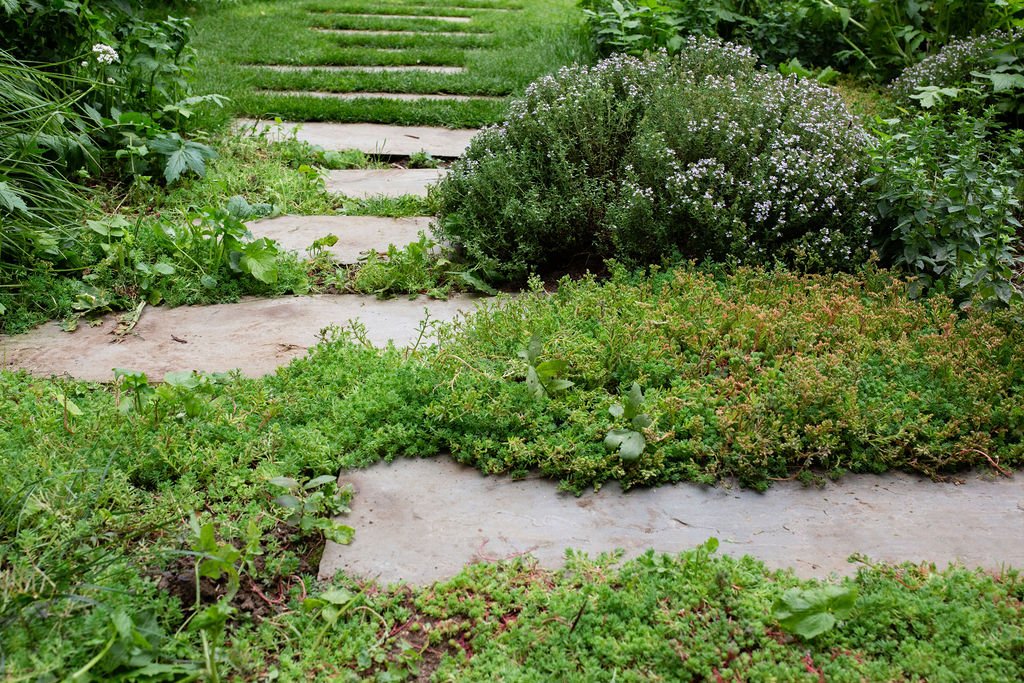 Natural Garden Banstead 021