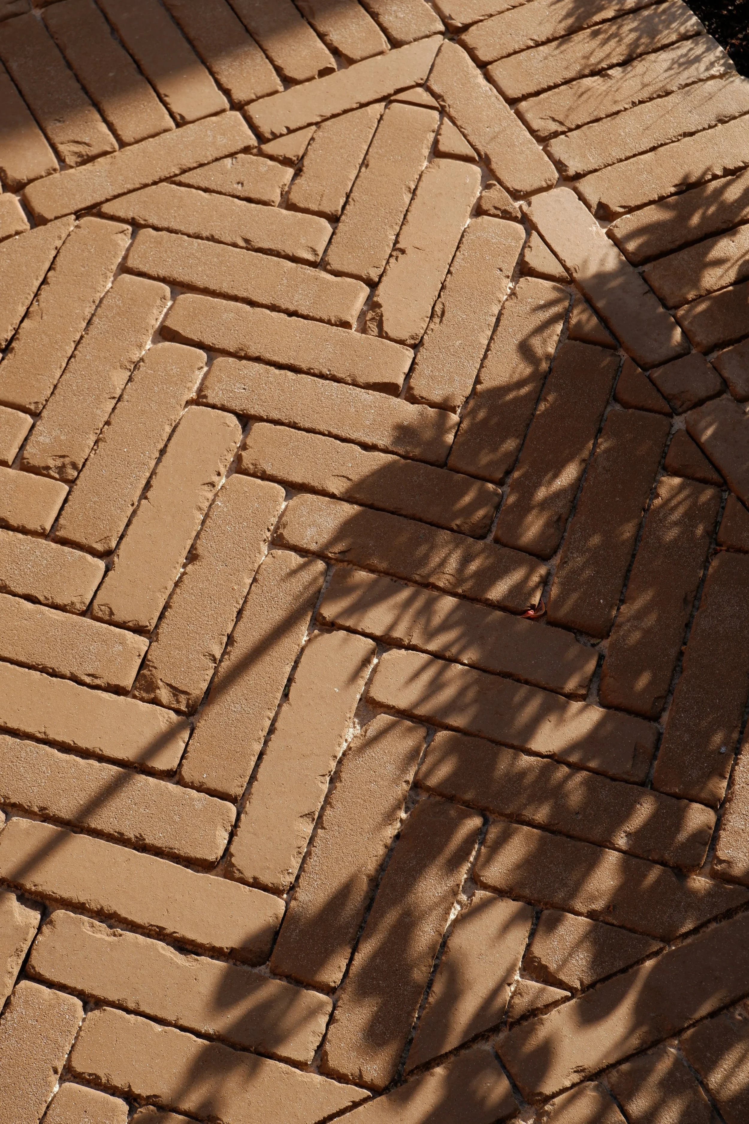 Close-up of a brick pathway with a shadow of plants falling on it. Harrington brothers Landscapes Surrey.