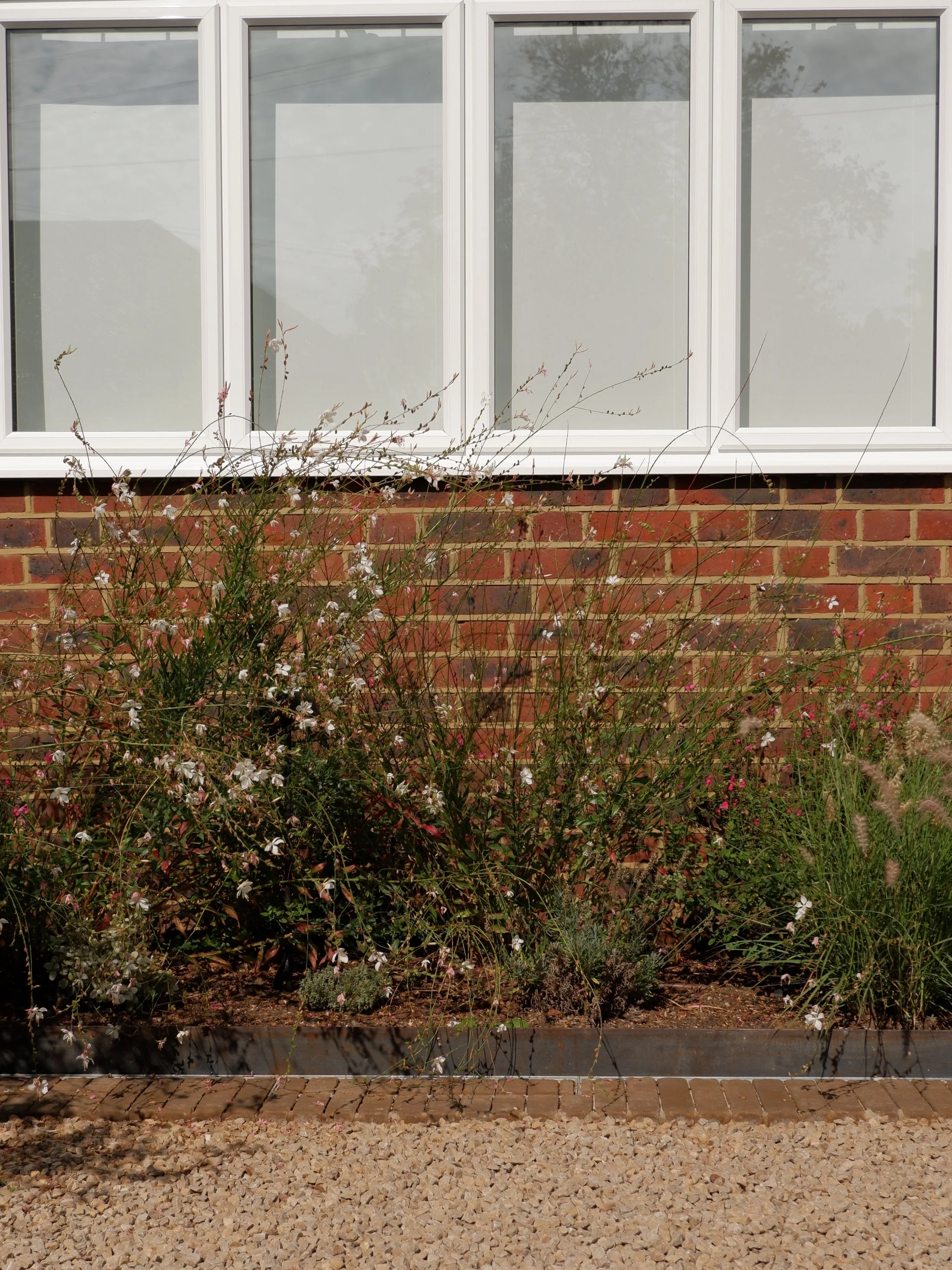 A garden bed with flowering plants in front of a brick wall and a large window. Harrington brothers Landscapes Surrey.
